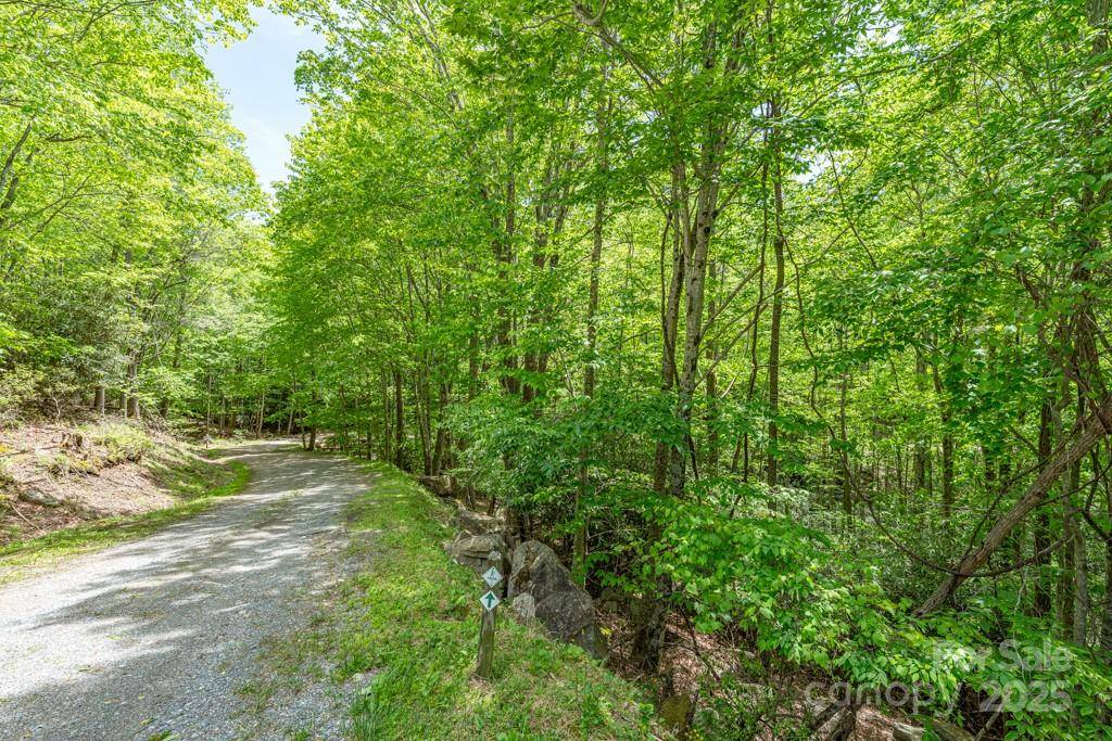 301 Jackpine RD, Beech Mountain, NC 28604