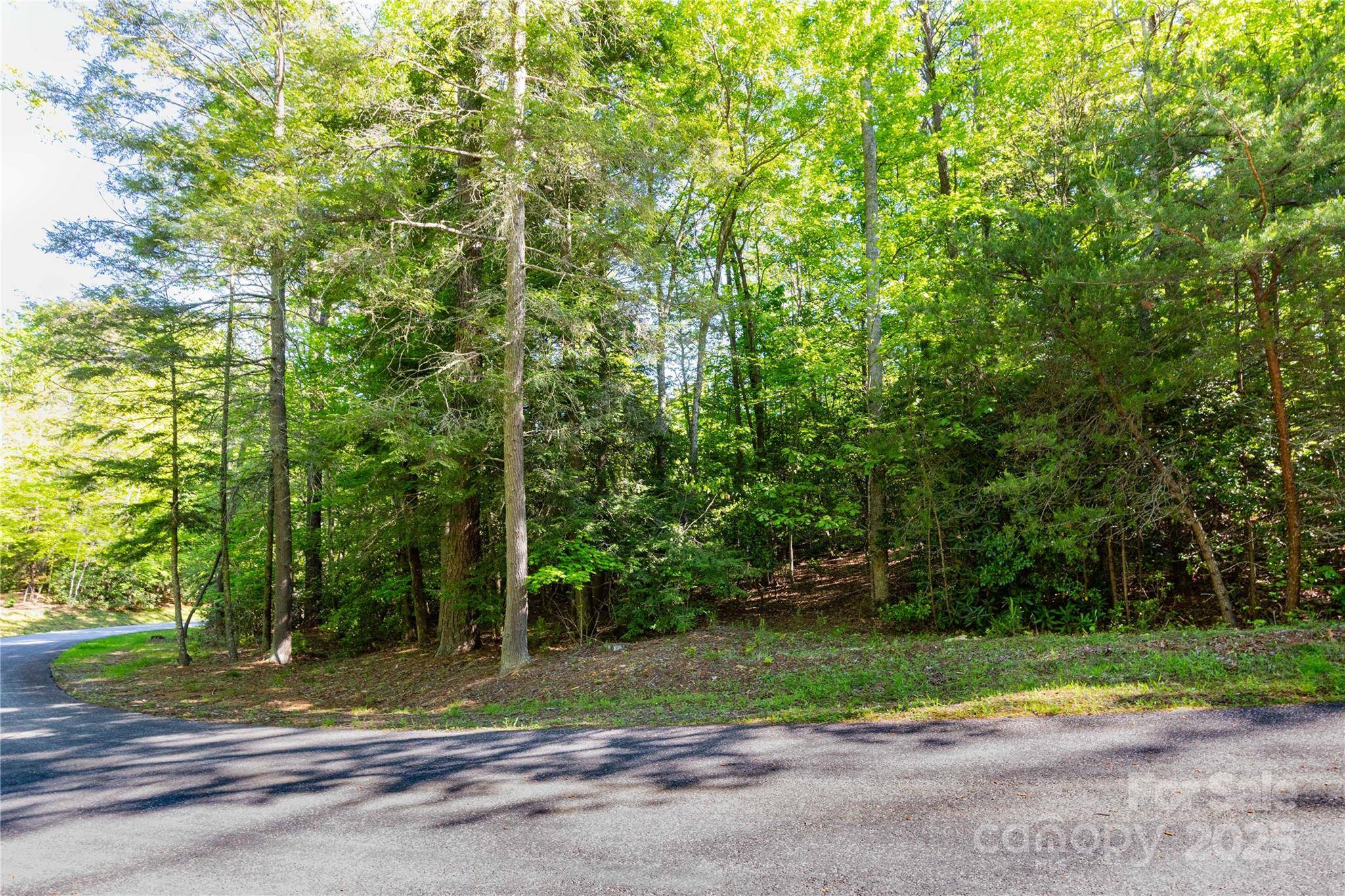 76 Drovers LN, Fairview, NC 28730