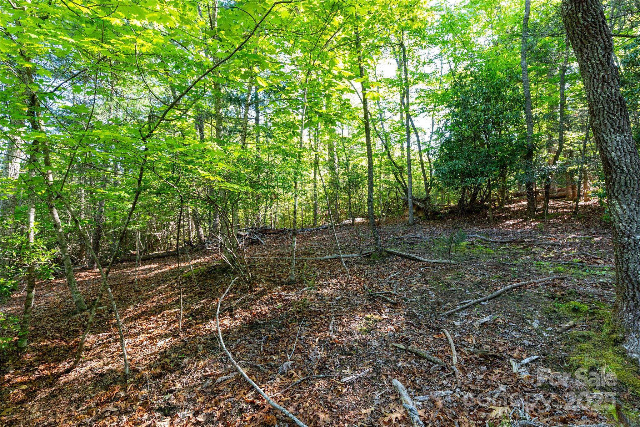 76 Drovers LN, Fairview, NC 28730