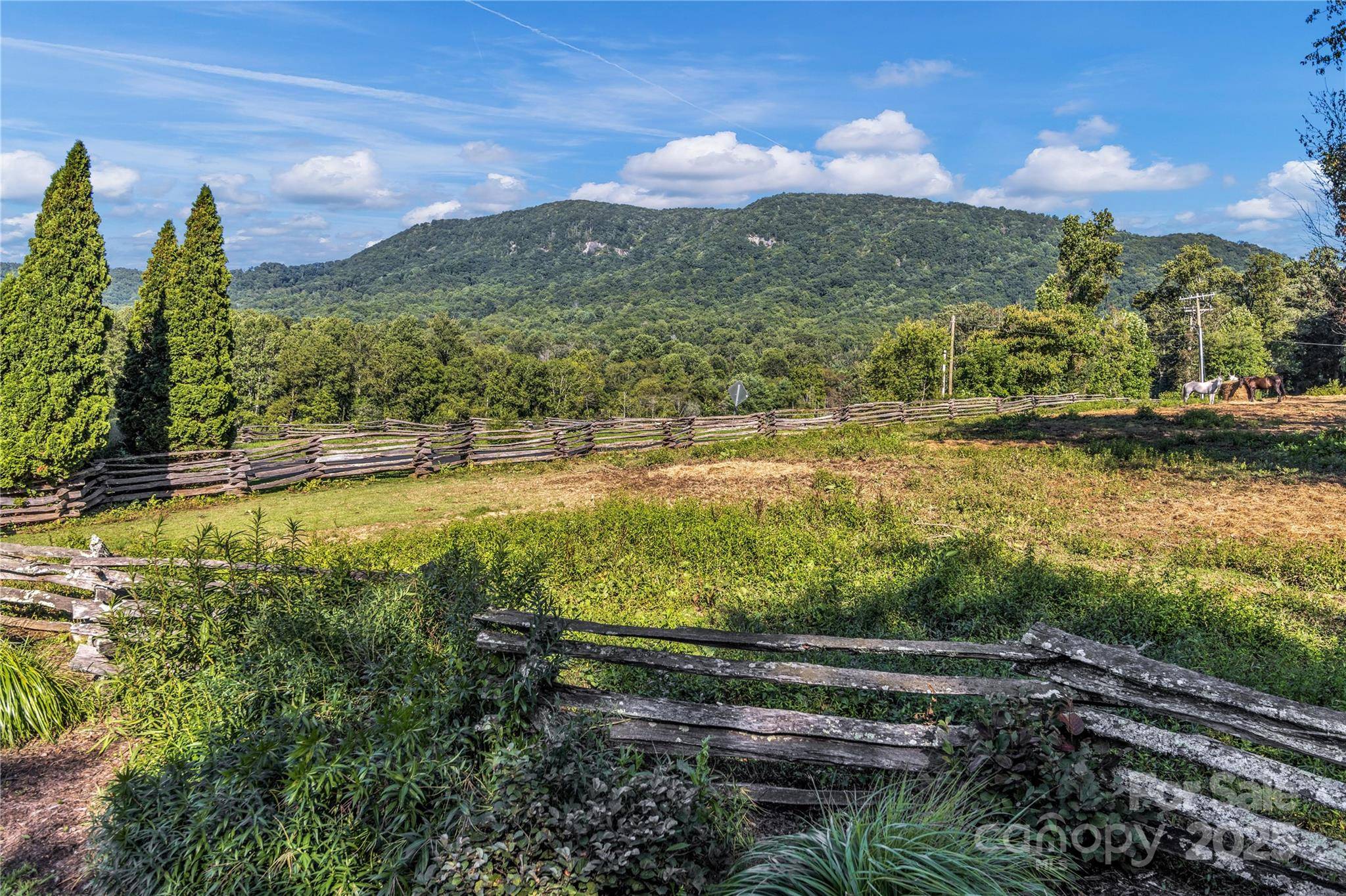 76 Drovers LN, Fairview, NC 28730