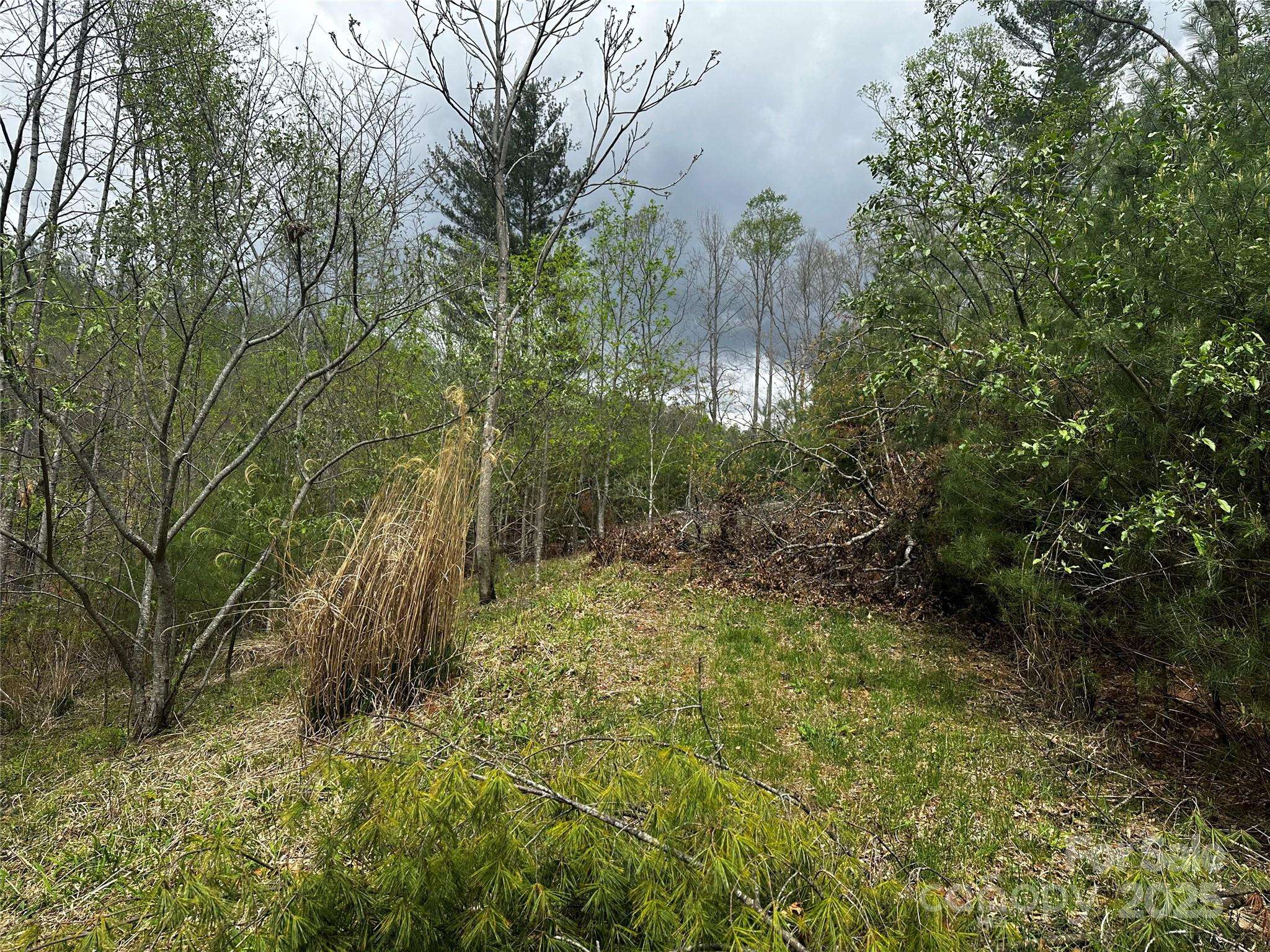 00 Ashland mountain RD, Bakersville, NC 28705
