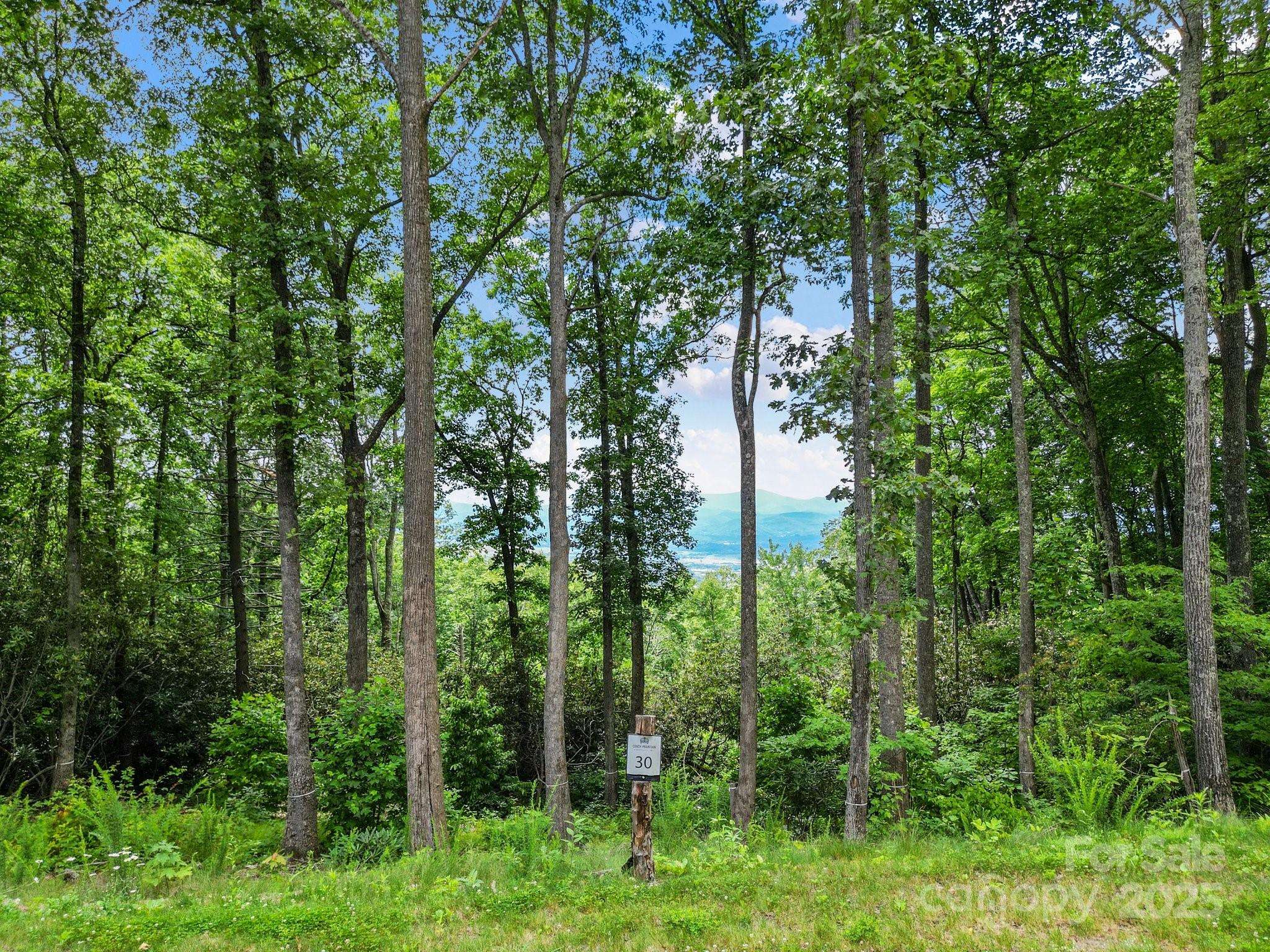 Lot 30 Trillium Garden WAY #30, Fletcher, NC 28732
