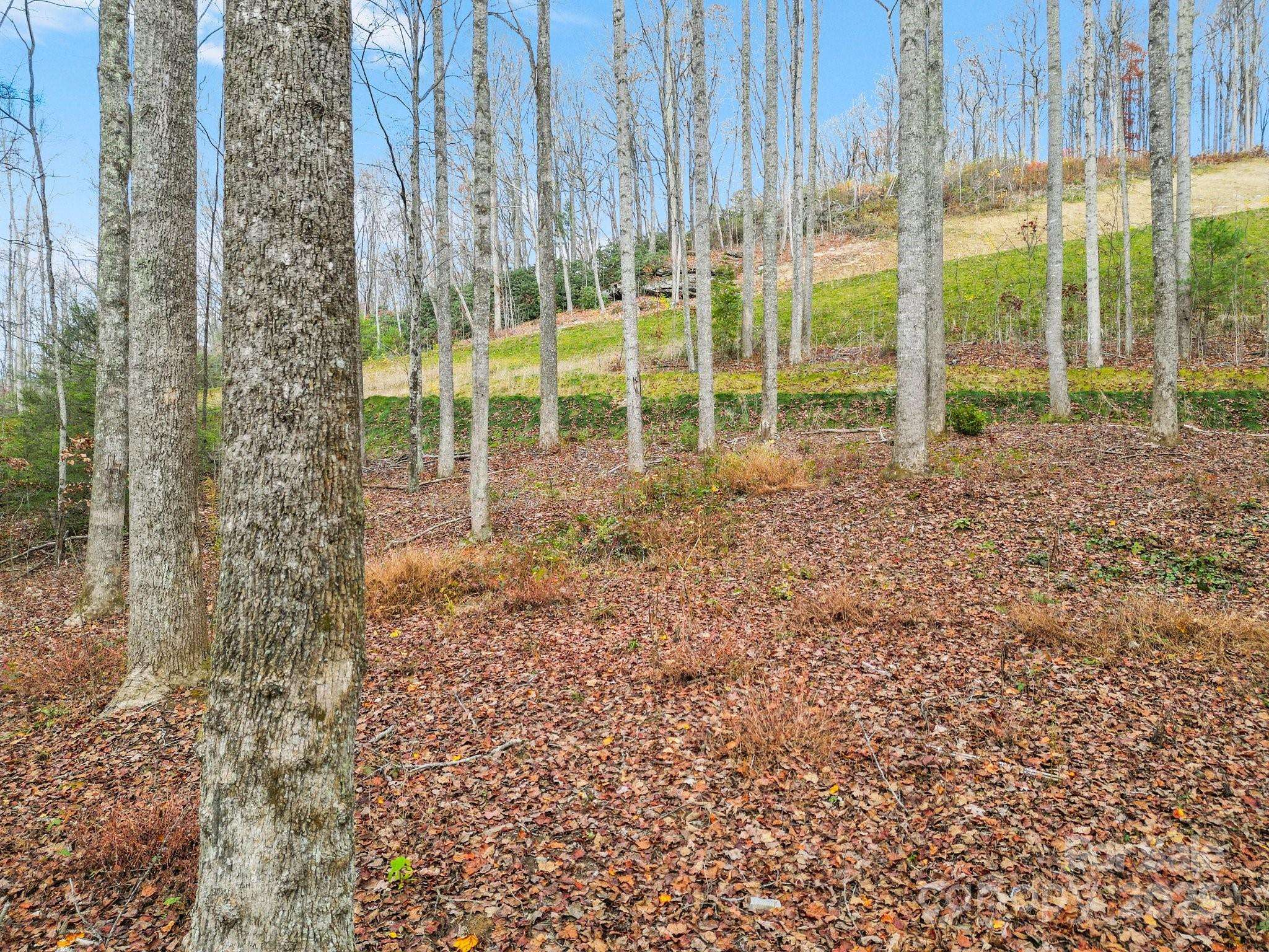 Lot 80 Mountain Grove LN #Lot 80, Fletcher, NC 28732