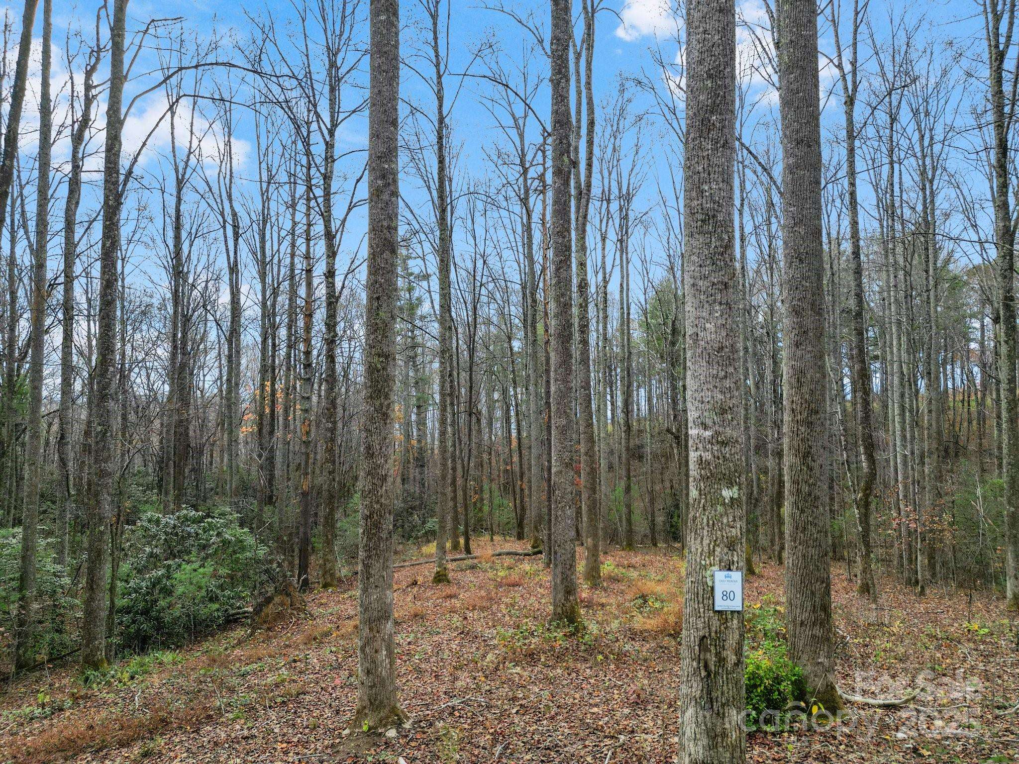 Lot 80 Mountain Grove LN #Lot 80, Fletcher, NC 28732
