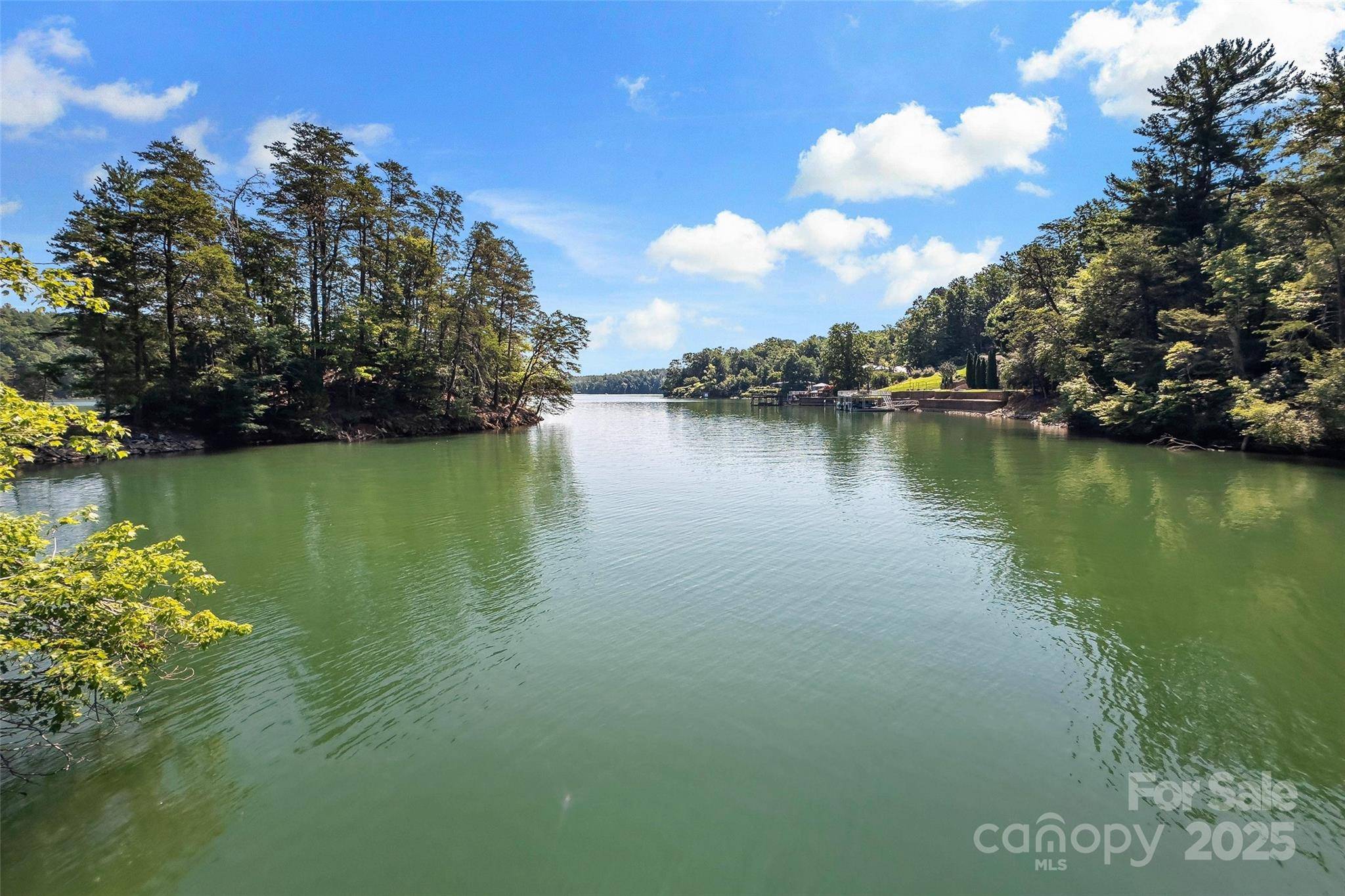 1181 Forest Lake Heights DR, Nebo, NC 28761