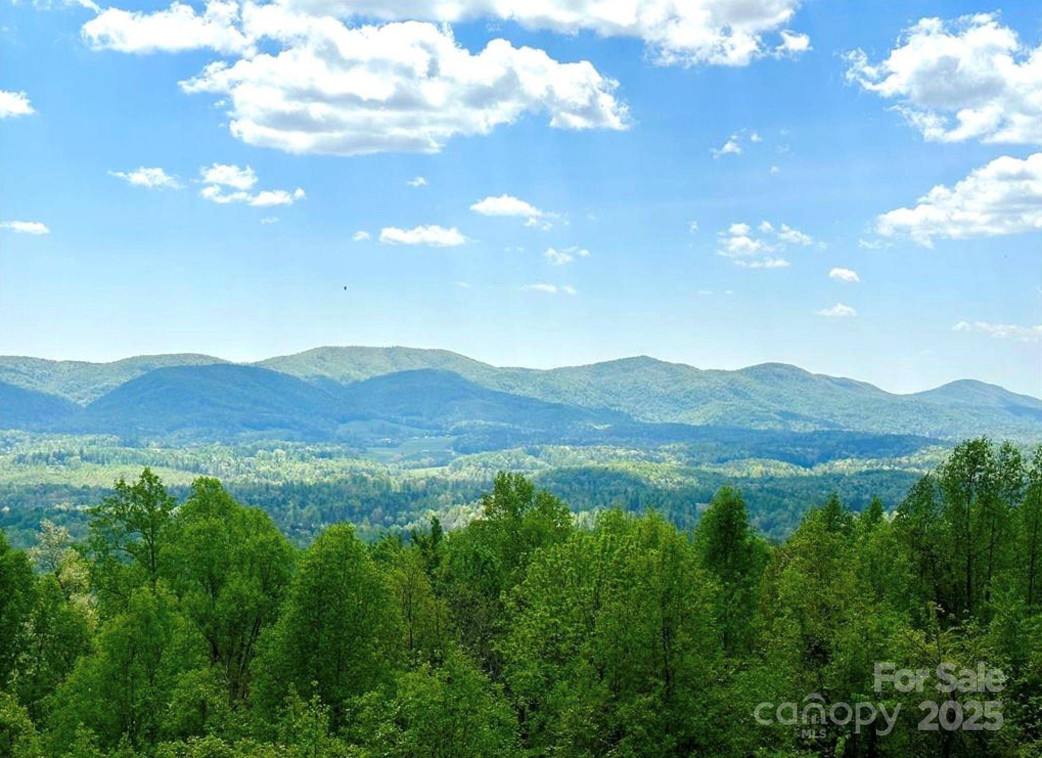Lot 79 Ridge Run RD #79, Boomer, NC 28606