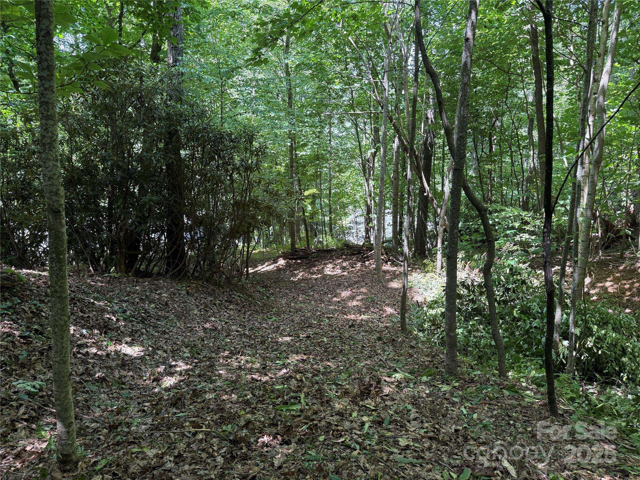 25 Fairview Pointe DR, Fairview, NC 28730
