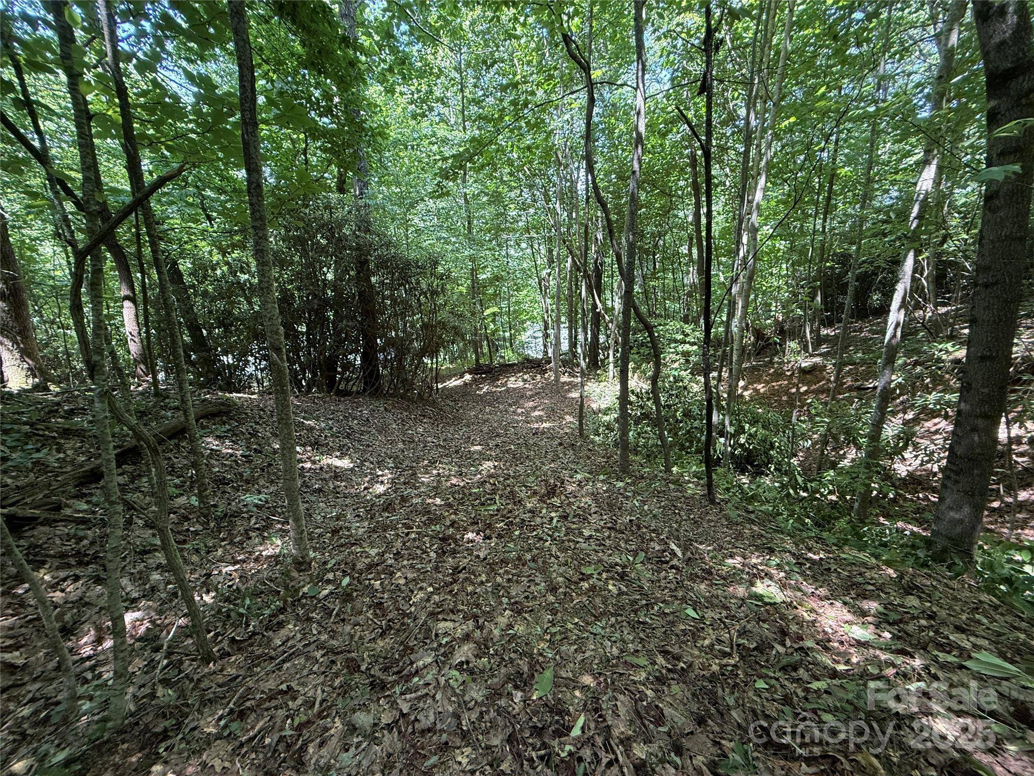 25 Fairview Pointe DR, Fairview, NC 28730