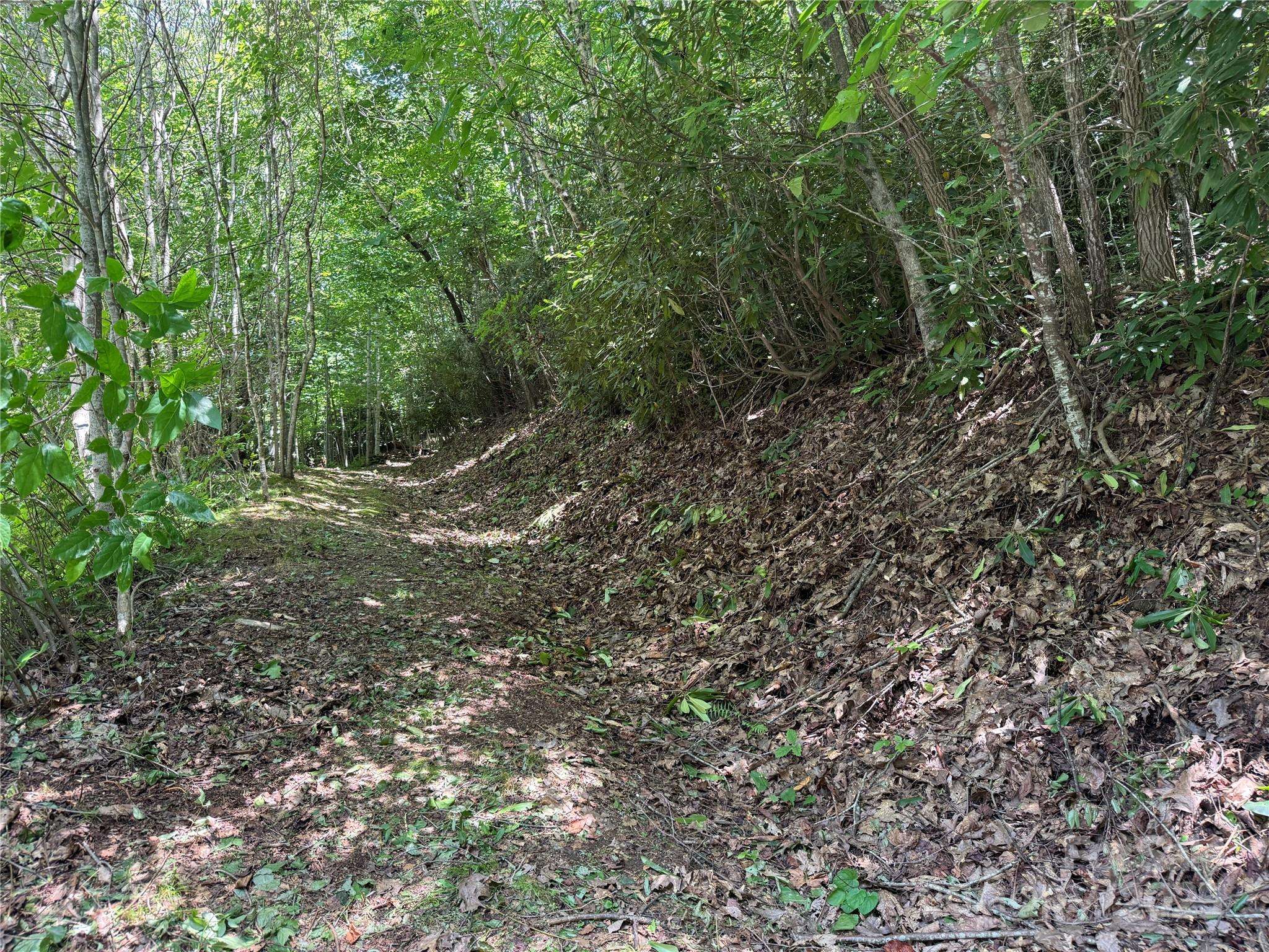 25 Fairview Pointe DR, Fairview, NC 28730