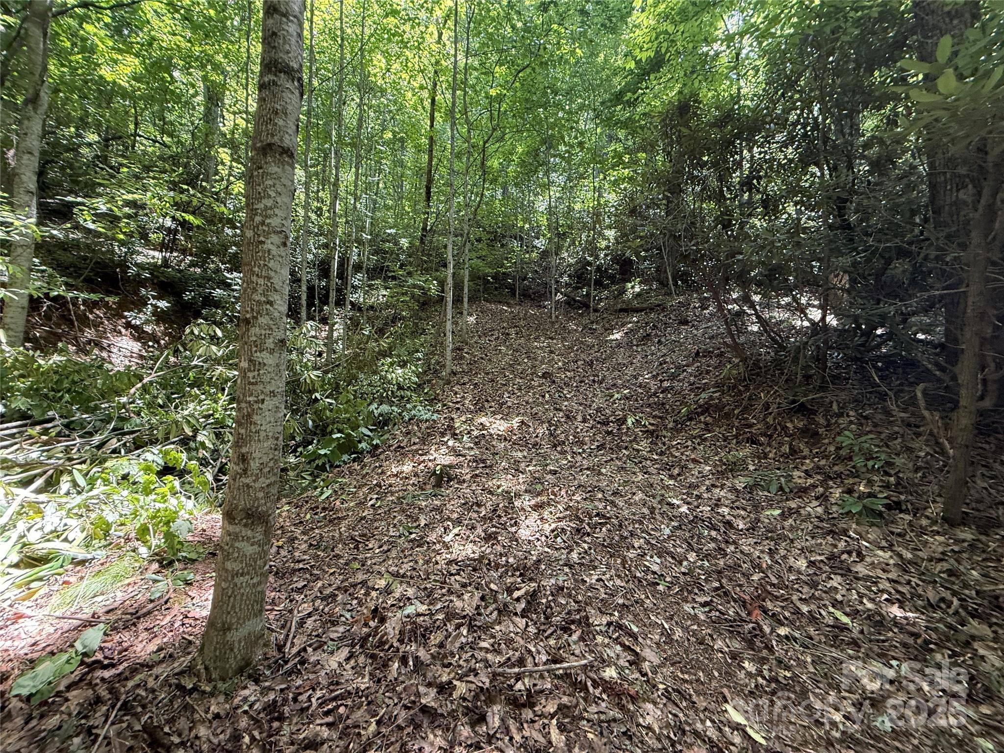 25 Fairview Pointe DR, Fairview, NC 28730