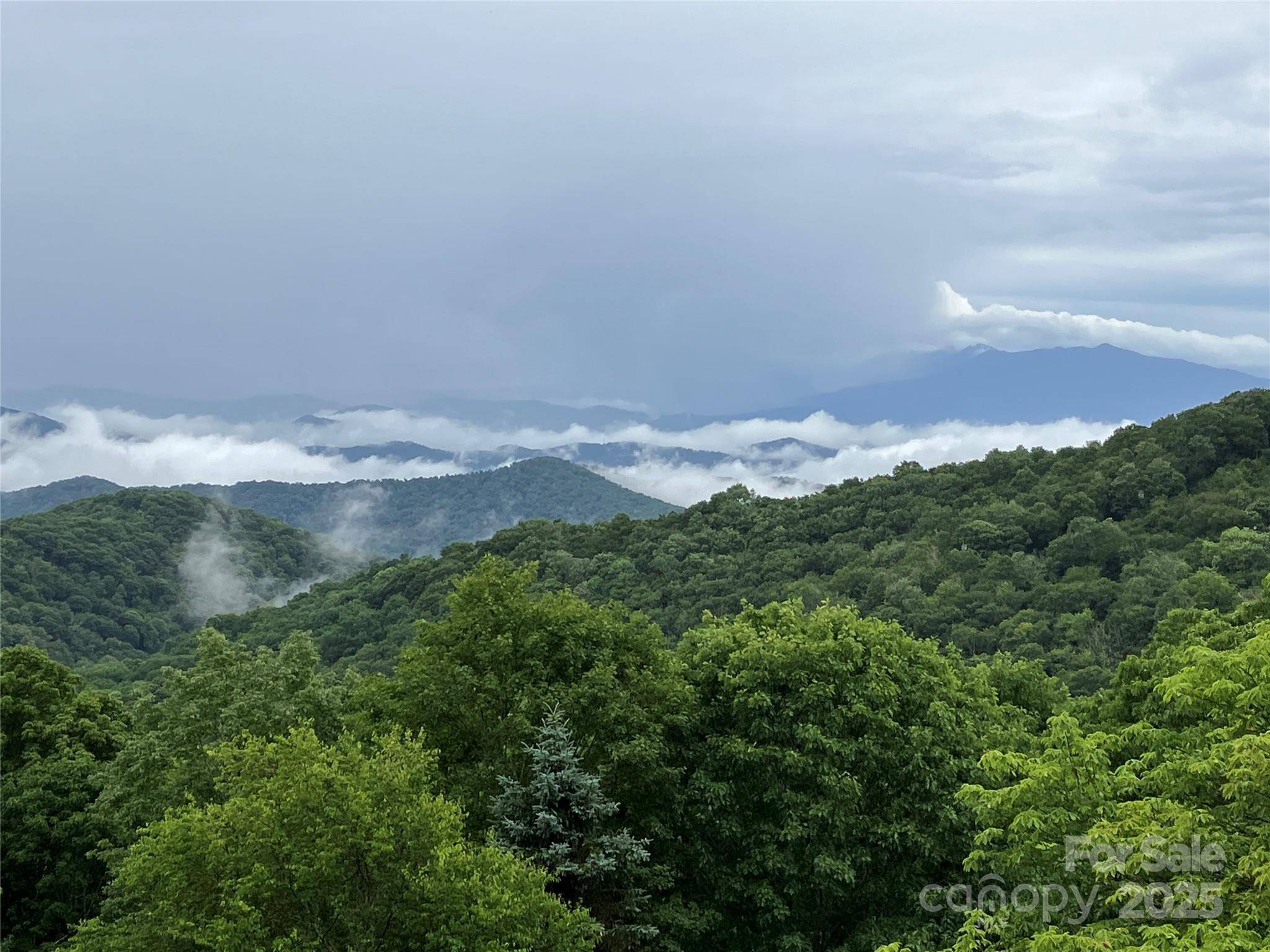283 Mitchell View DR, Bakersville, NC 28705
