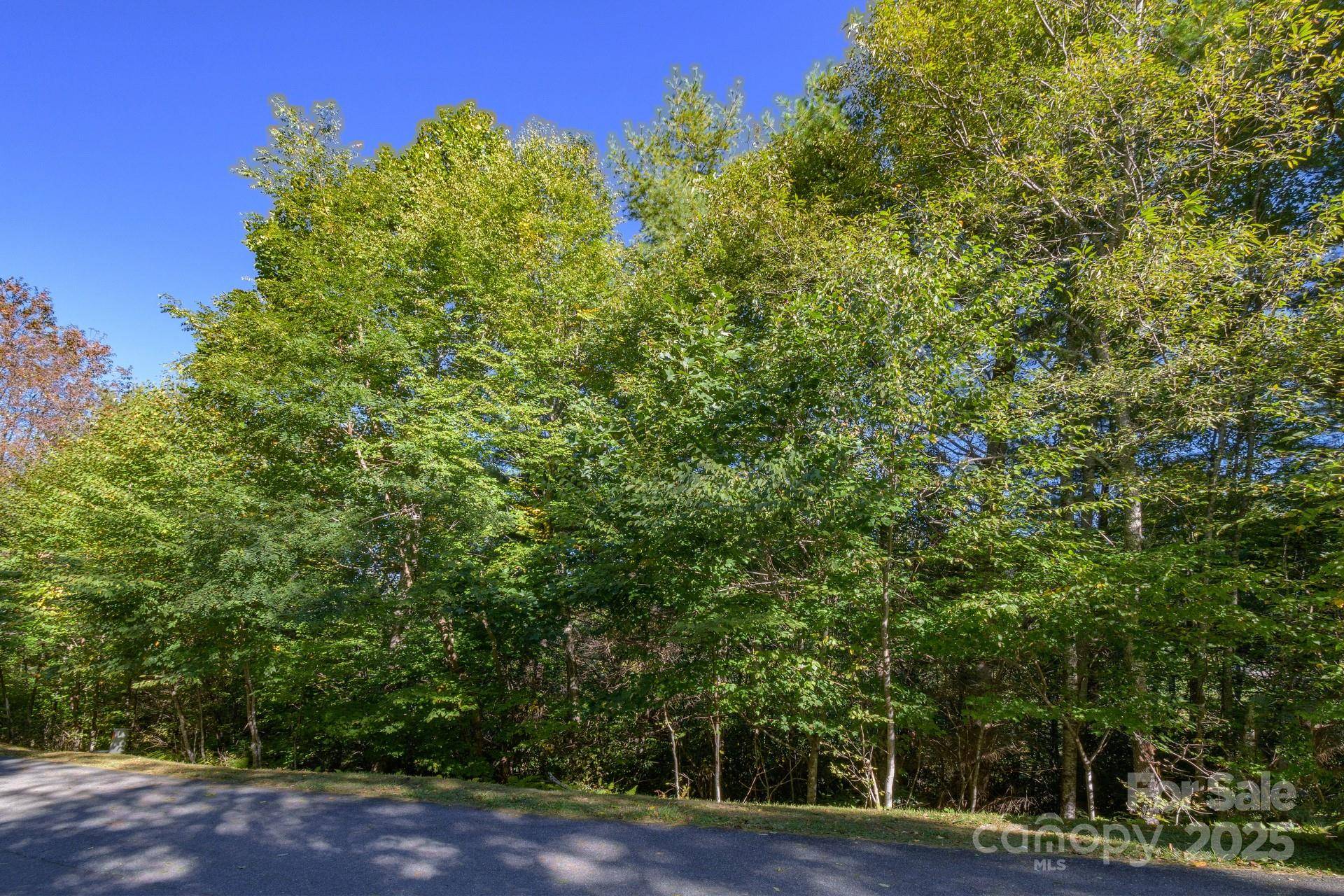 Lot 37 White Fox LN, Banner Elk, NC 28604