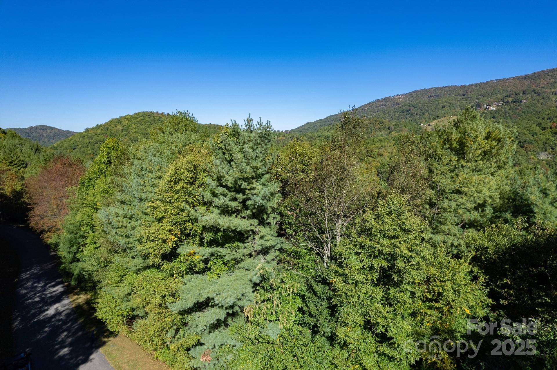 Lot 37 White Fox LN, Banner Elk, NC 28604