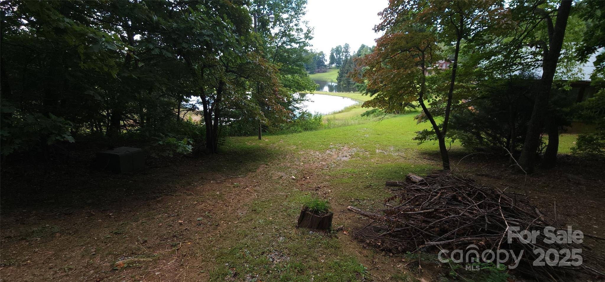 Lot 80 Serpentine DR #80A, Columbus, NC 28722