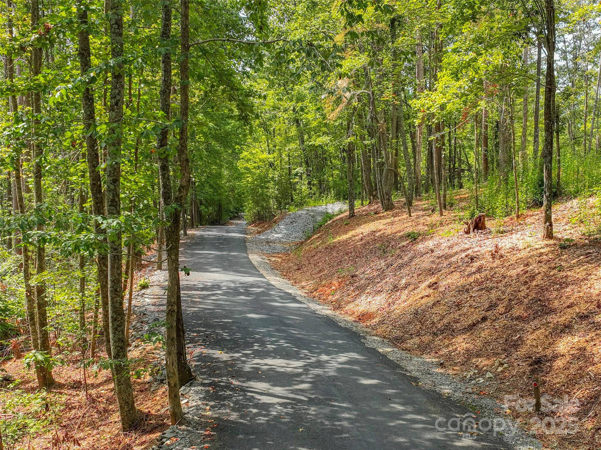00 Hidden Lake Pkwy, Dysartsville, NC 28761