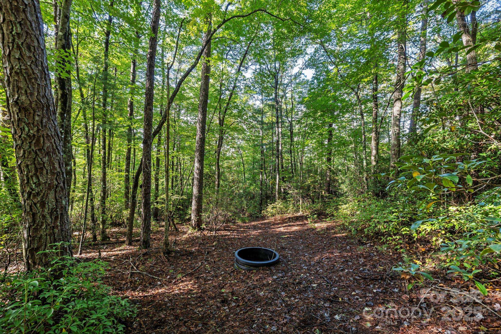 Lot 32 West View RD #32, Brevard, NC 28712