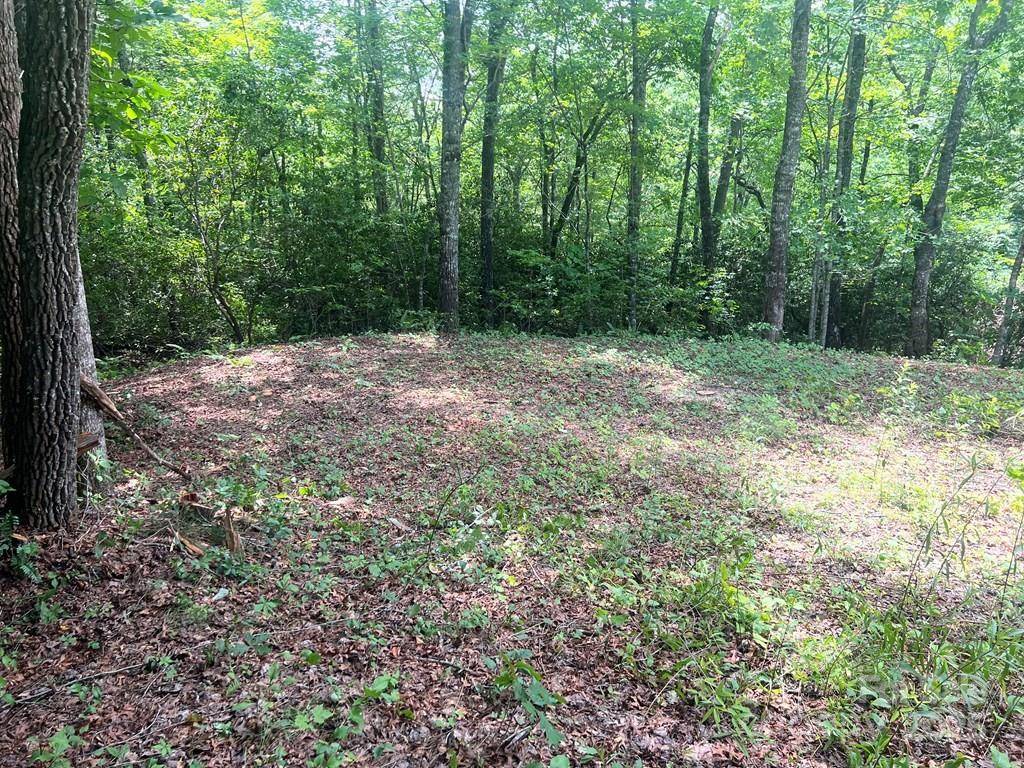 59 Musket RD #59, Almond, NC 28702