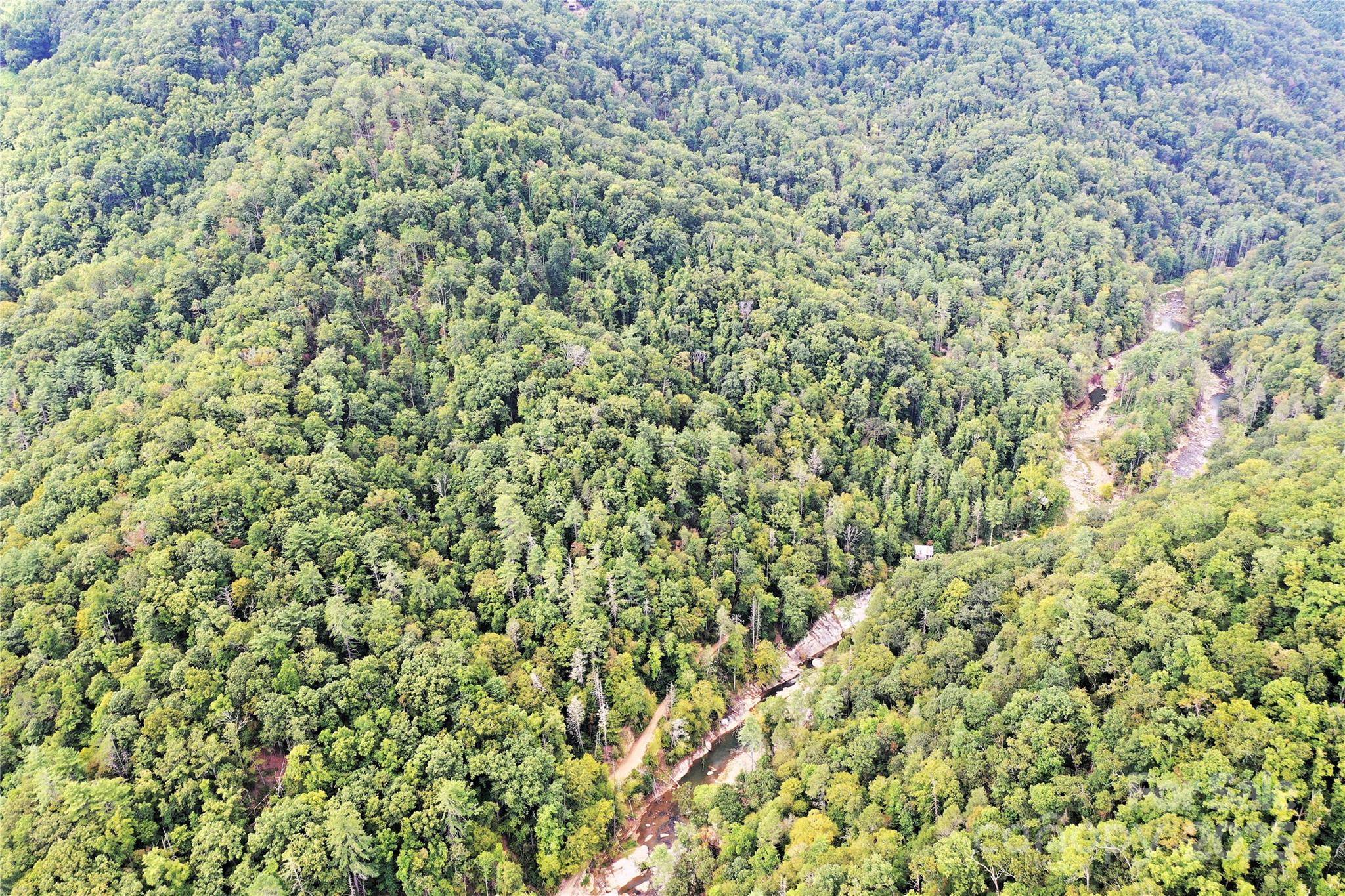 999 Hardison Falls TRL, Bat Cave, NC 28710
