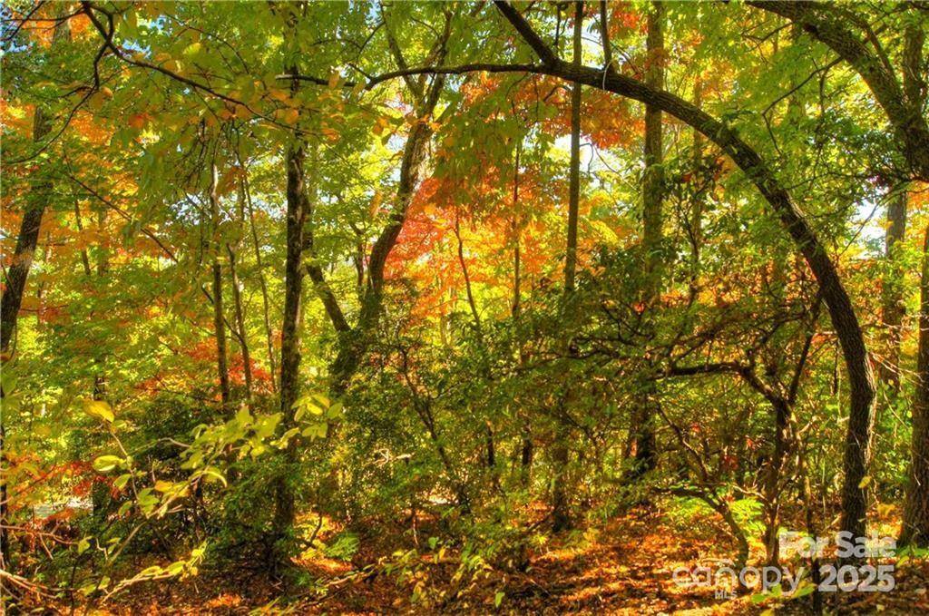 144 Galax DR #T-42, Black Mountain, NC 28711