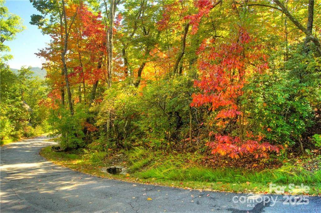 144 Galax DR #T-42, Black Mountain, NC 28711