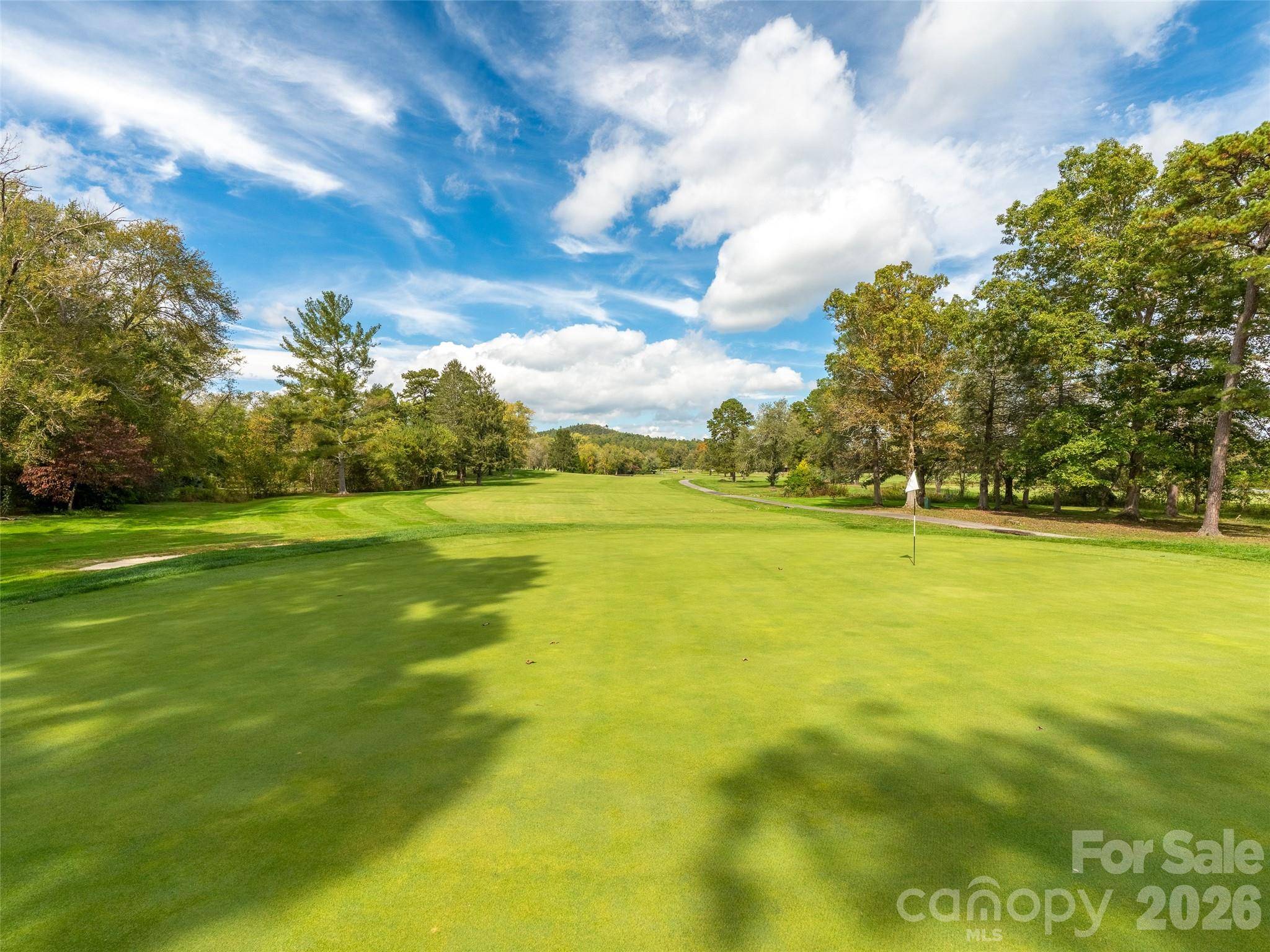 49 Tee Box LN, Etowah, NC 28729