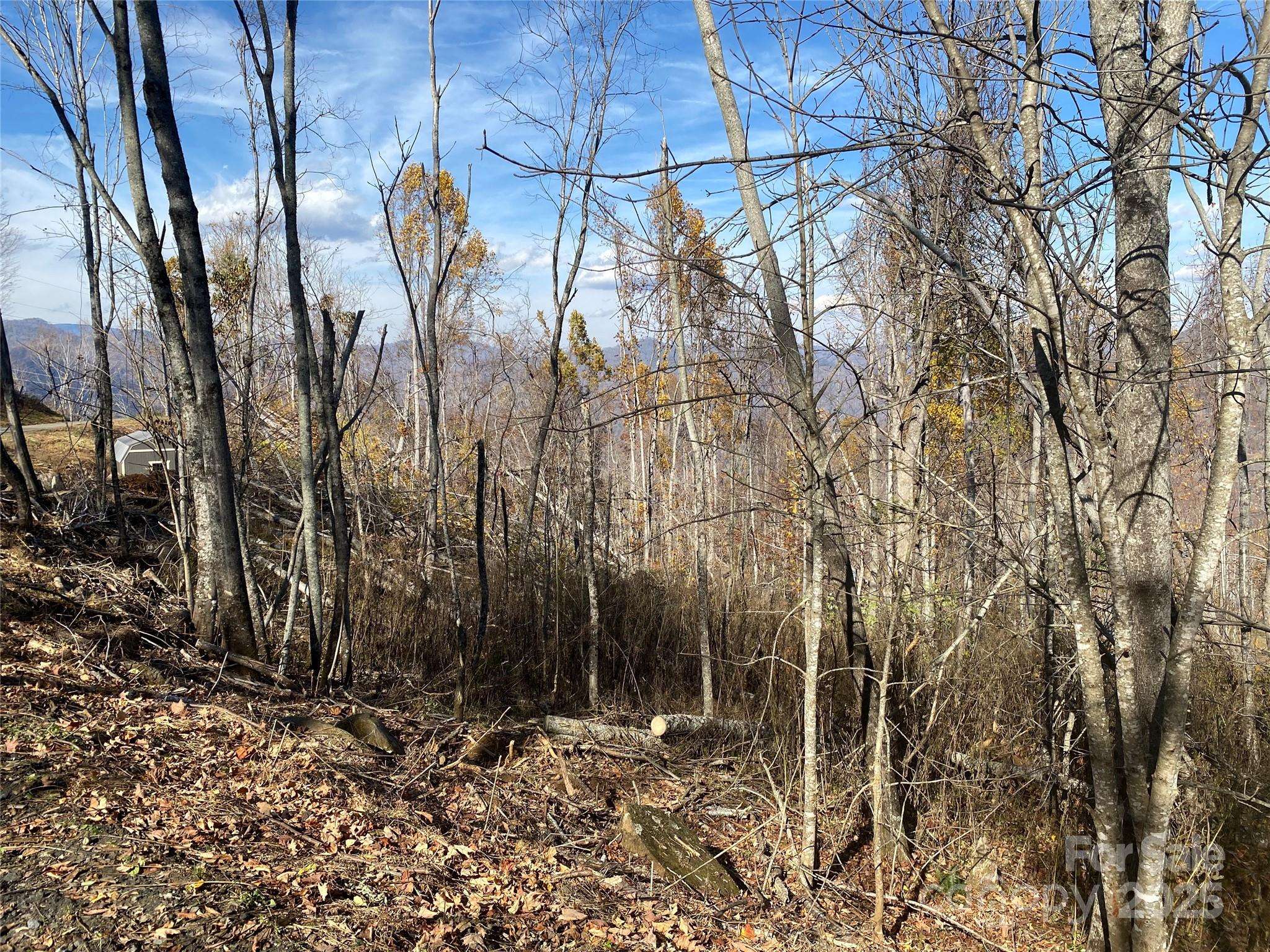 999 Bear Springs RD #QQ, Bakersville, NC 28705