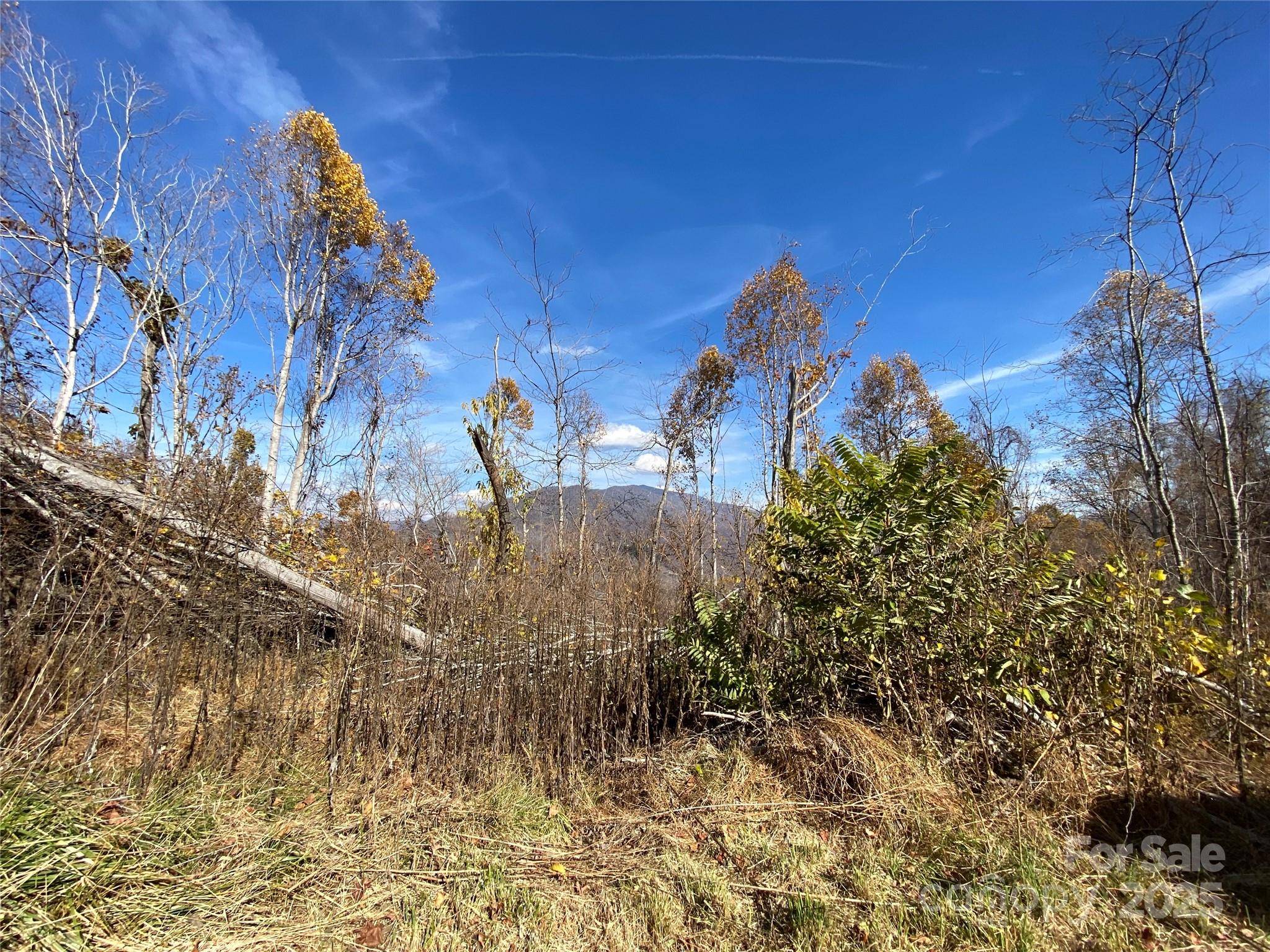 999 Bear Springs RD #QQ, Bakersville, NC 28705