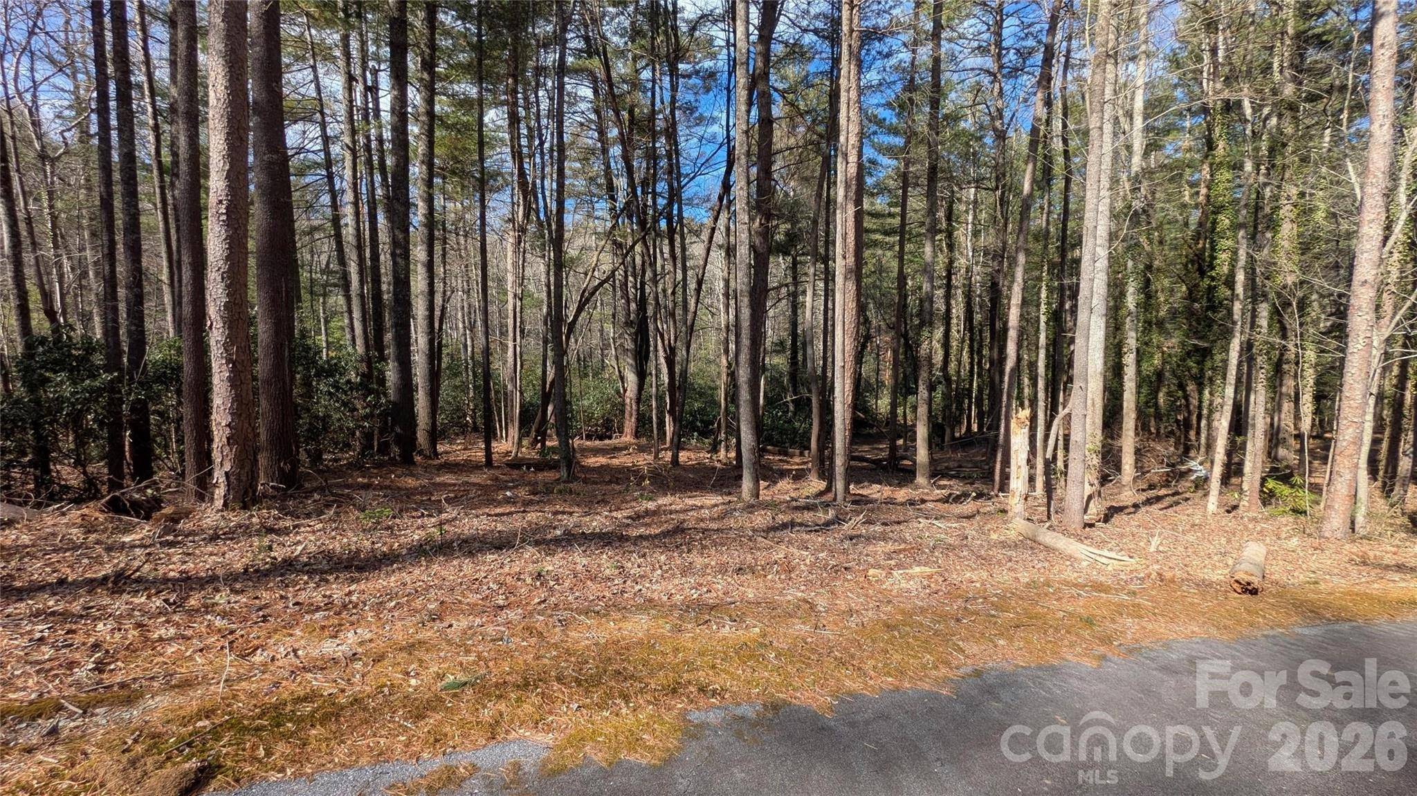 999 Roberts LN N #7, Flat Rock, NC 28731
