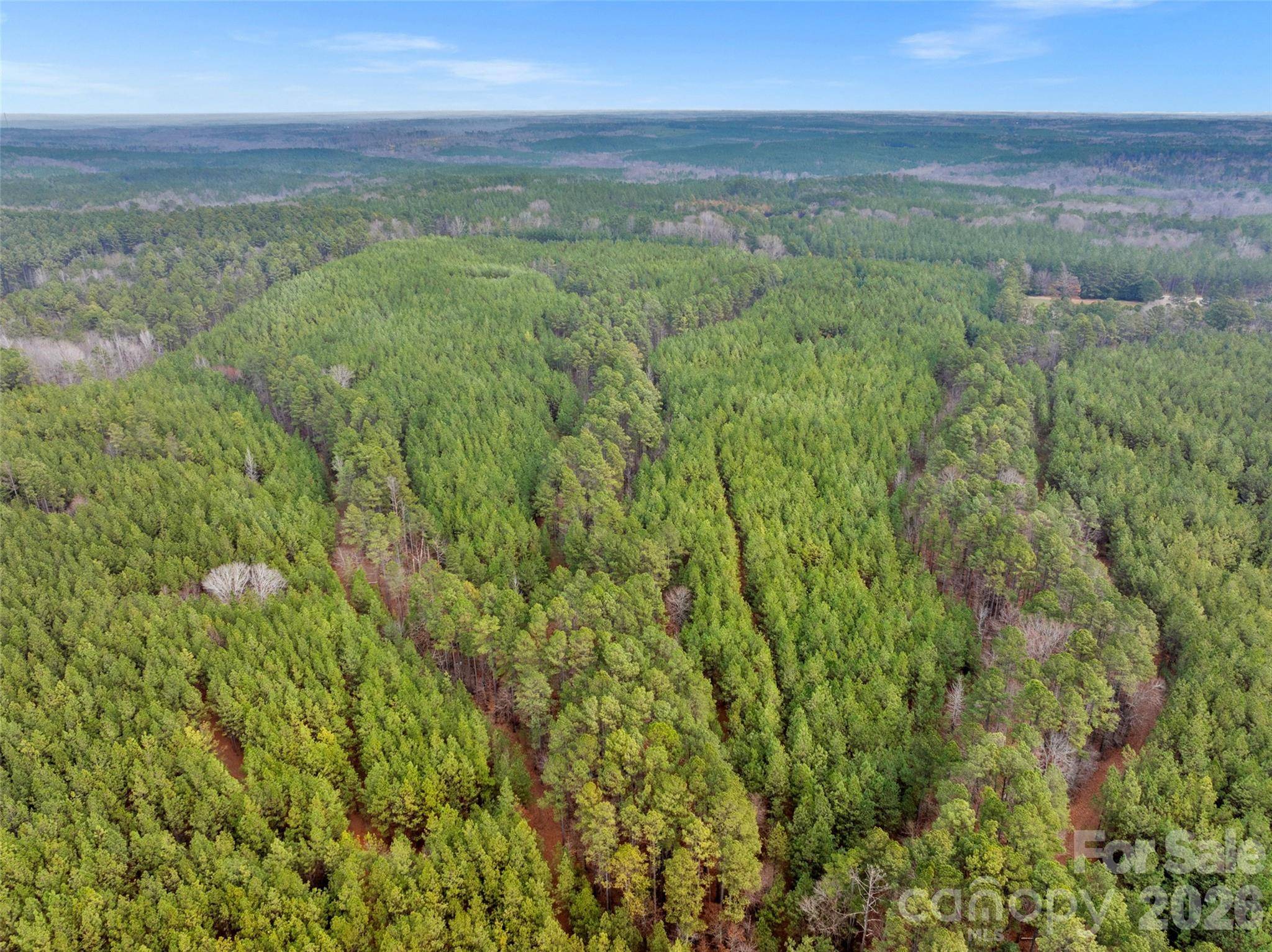 00 Woods Ferry RD, Carlisle, SC 29013