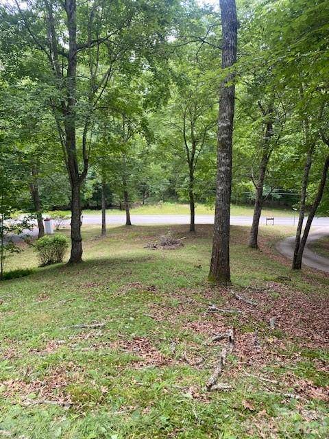 60 Hundred Acre Woods, Murphy, NC 28906