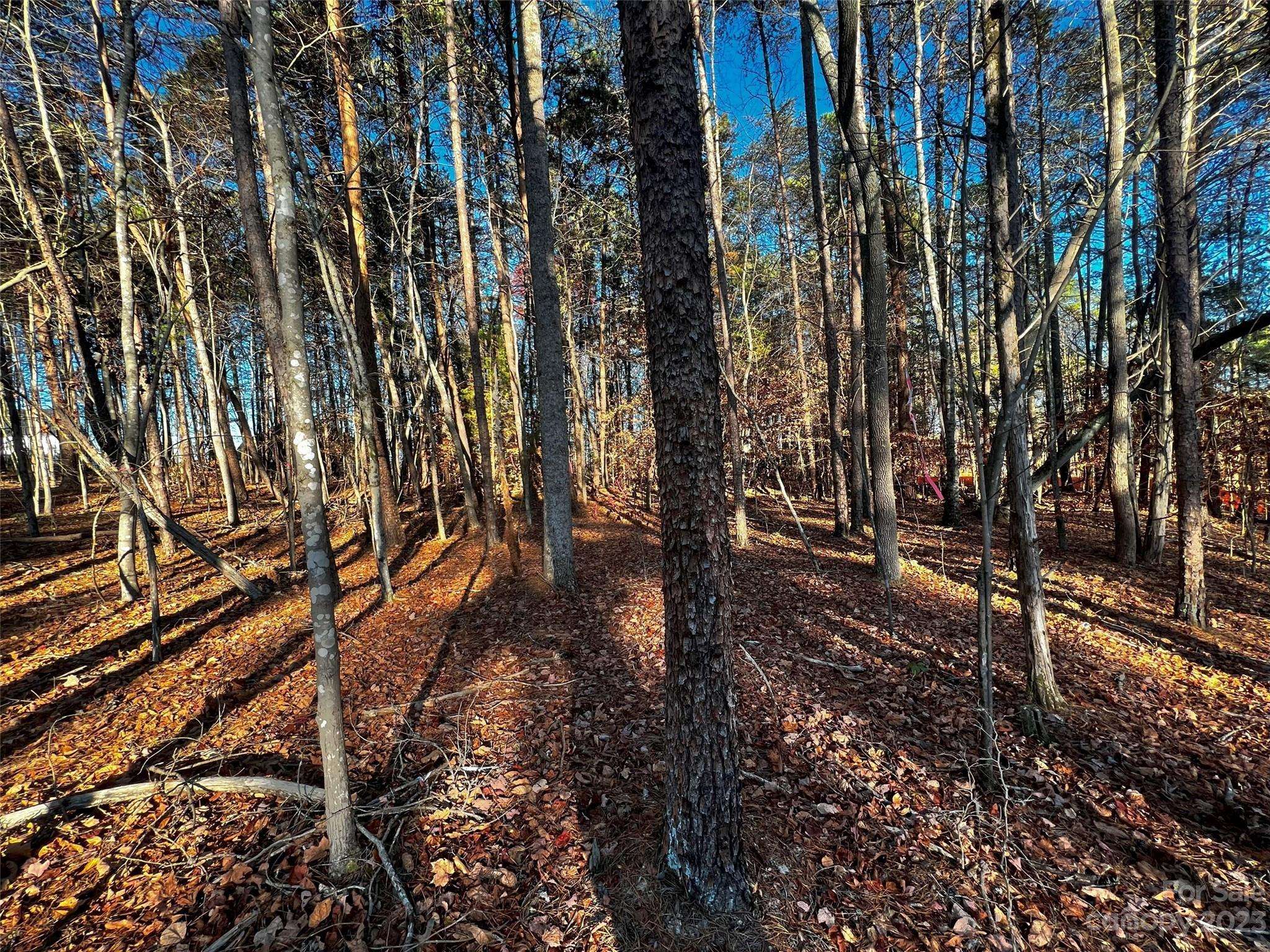 129 Hunt Camp TRL #15, Davidson, NC 28036