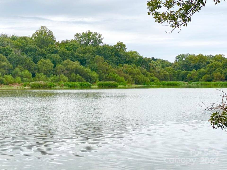 TBD Grassy Island RD, Ellerbe, NC 28338