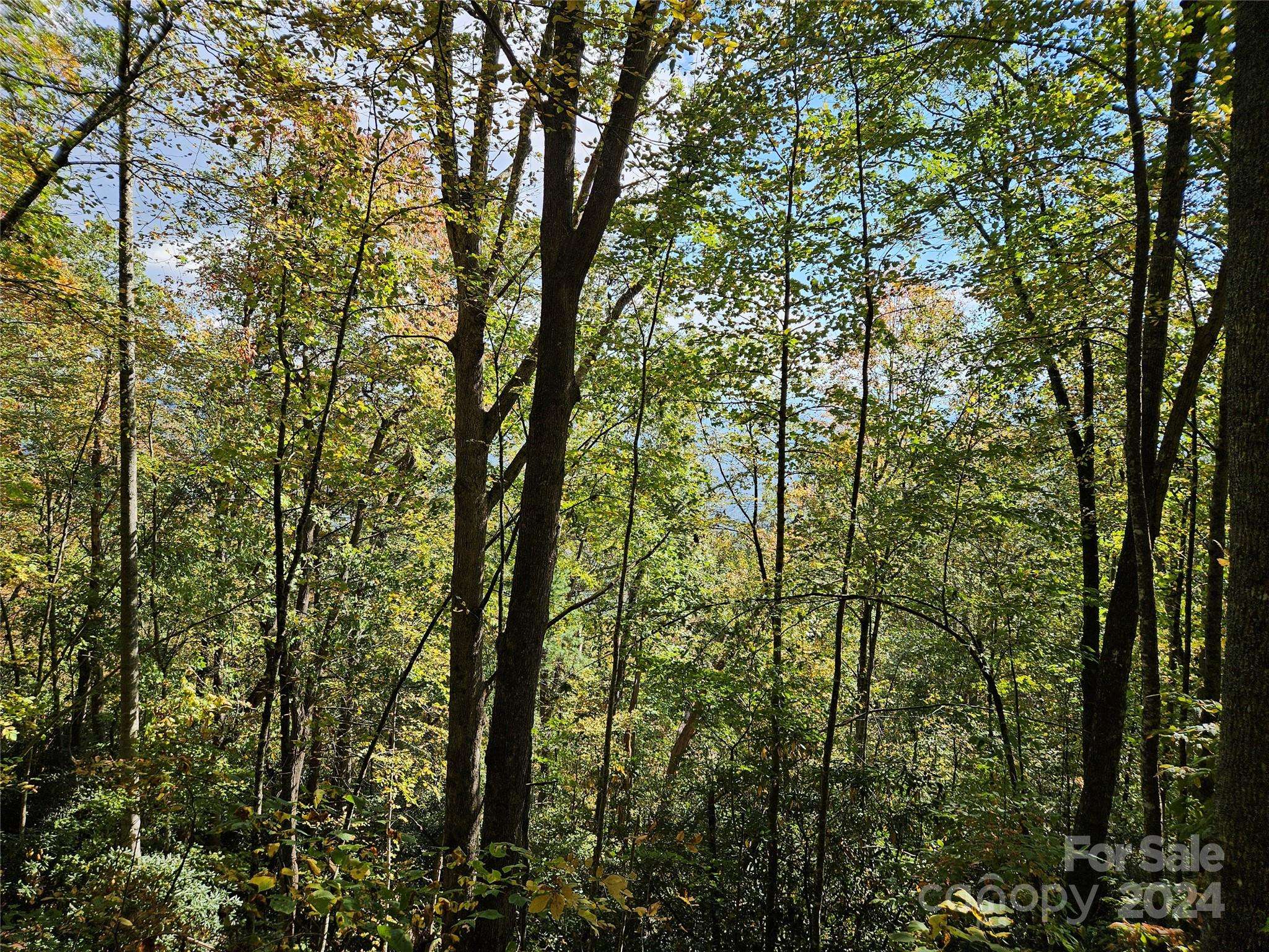 9999 Barn Cove RD, Clyde, NC 28721