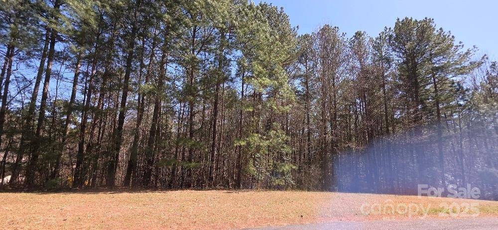 210 Ridge Top DR, Connelly Springs, NC 28612