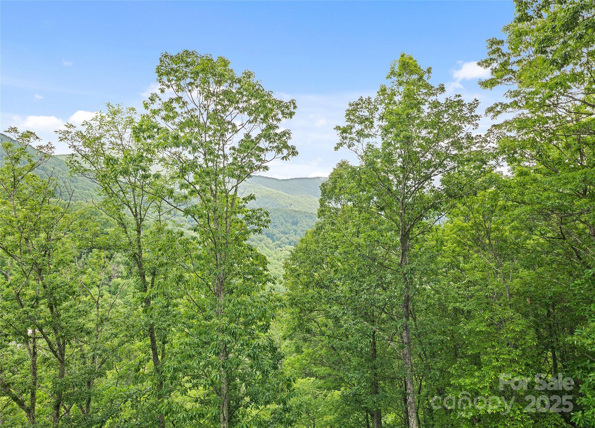 20A Lila LN, Clyde, NC 28721