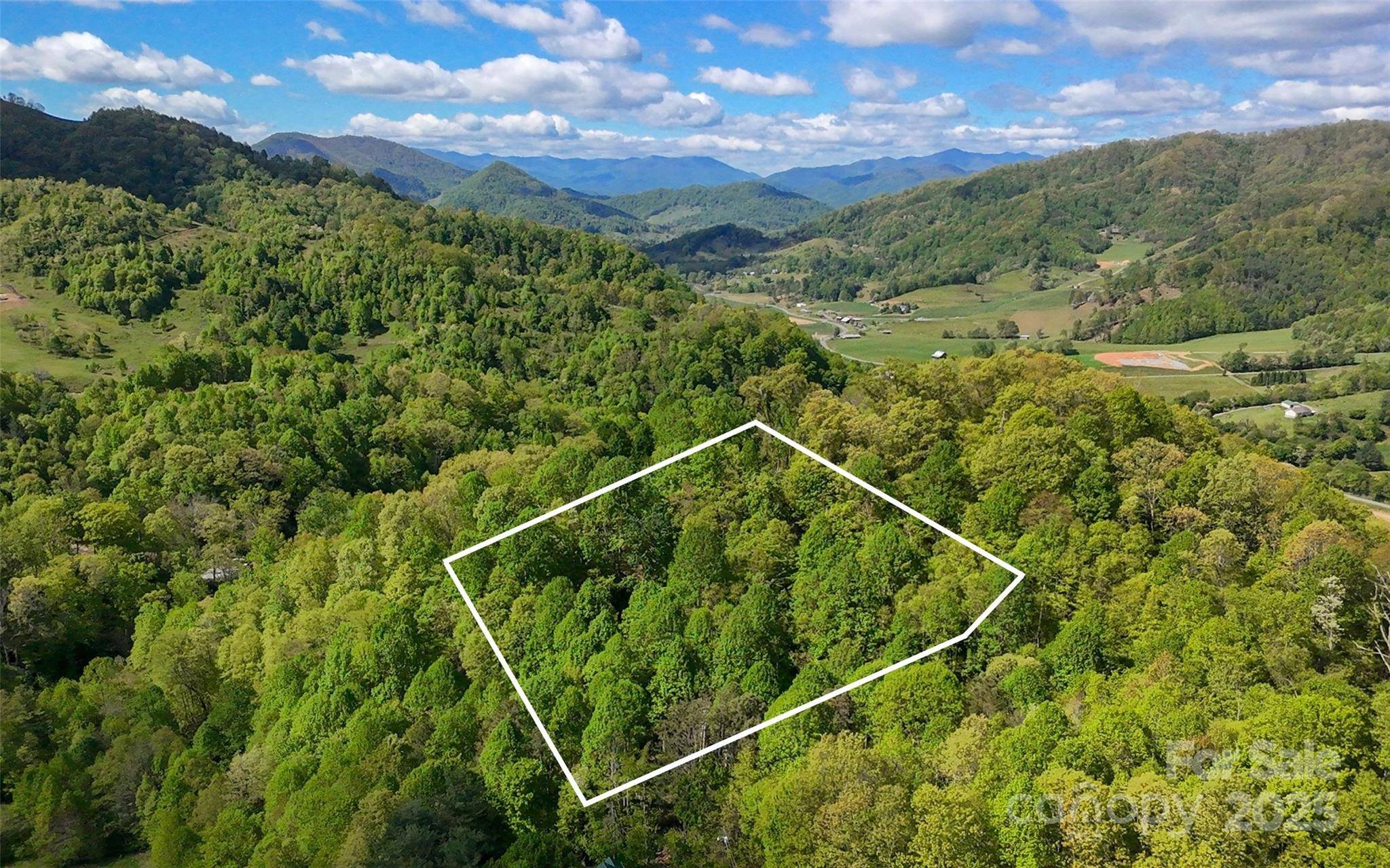 72 Lonesome Pines RD, Clyde, NC 28721