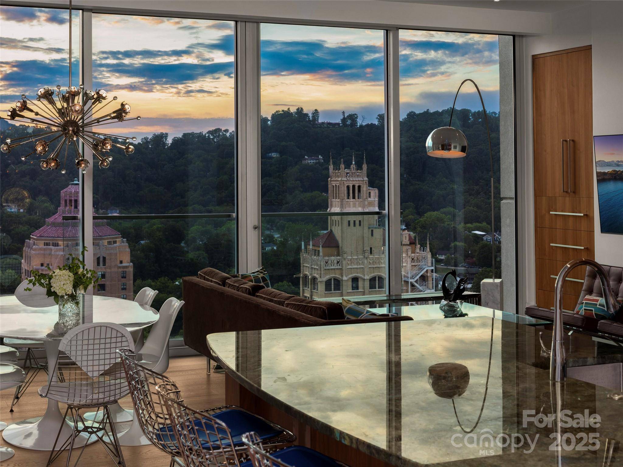 7 Patton AVE #1503, Asheville, NC 28801