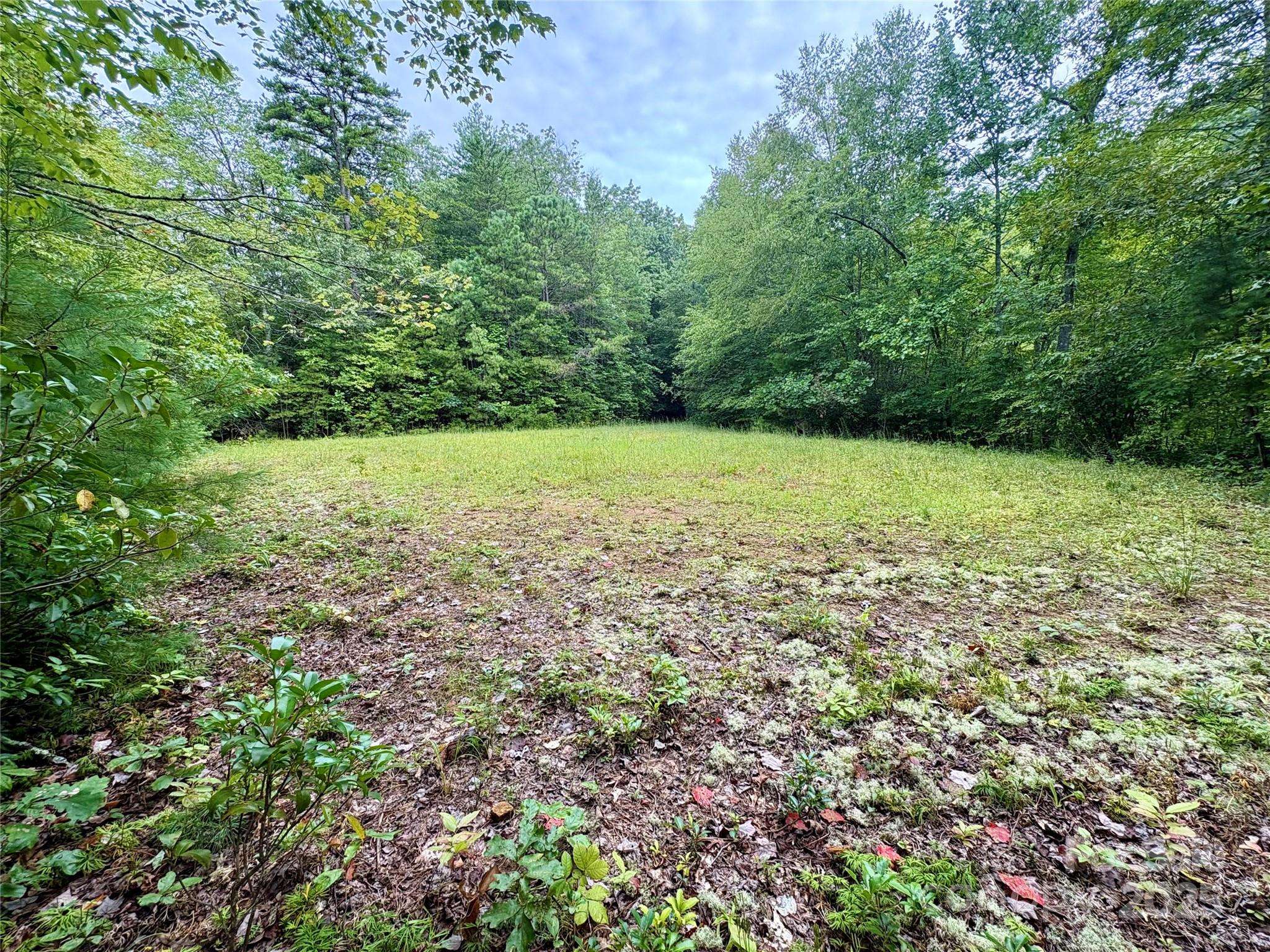 0 Chickadee DR #51, Bryson City, NC 28713