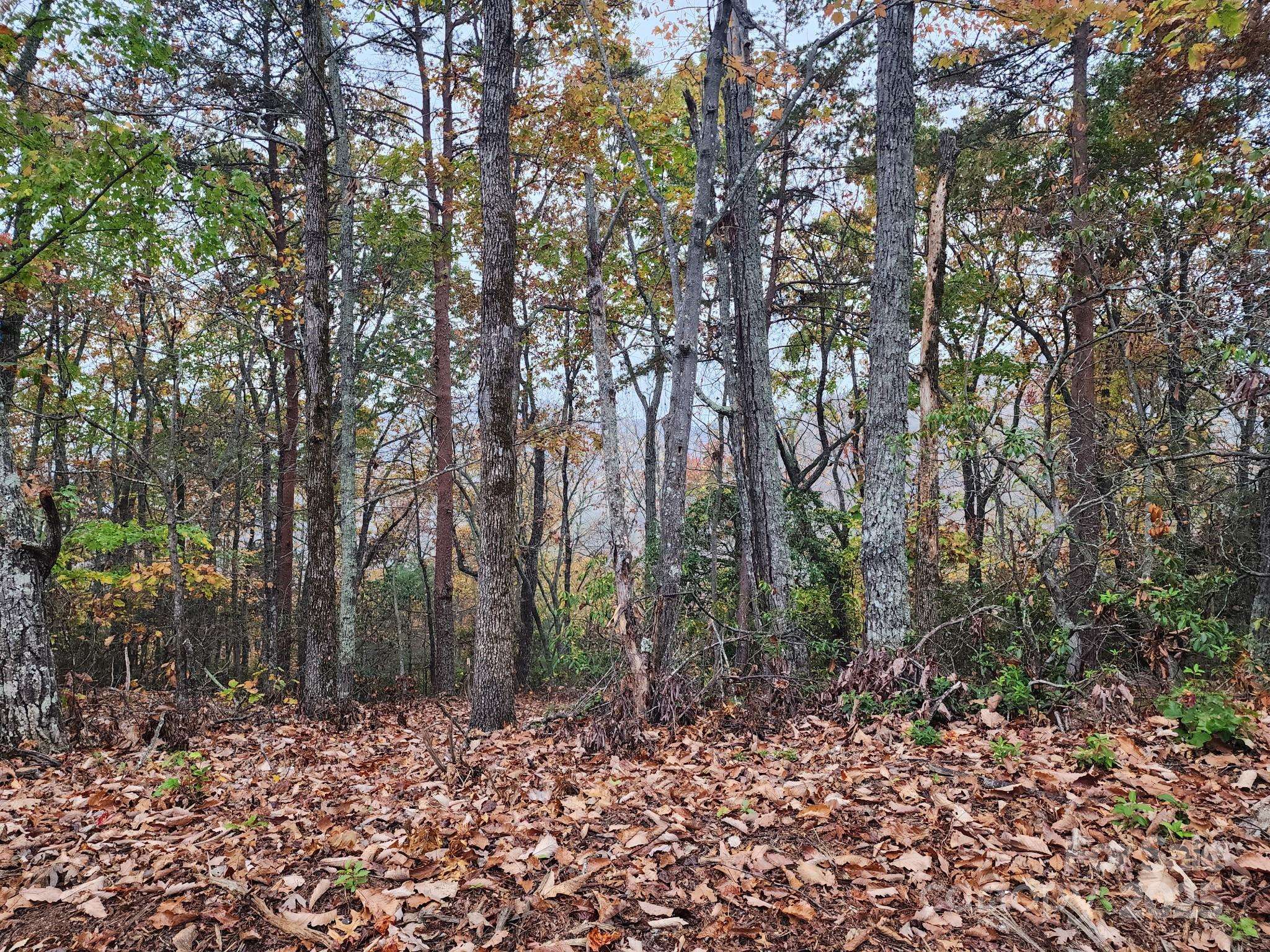 0 Mountain Lookout DR #35, Bostic, NC 28018