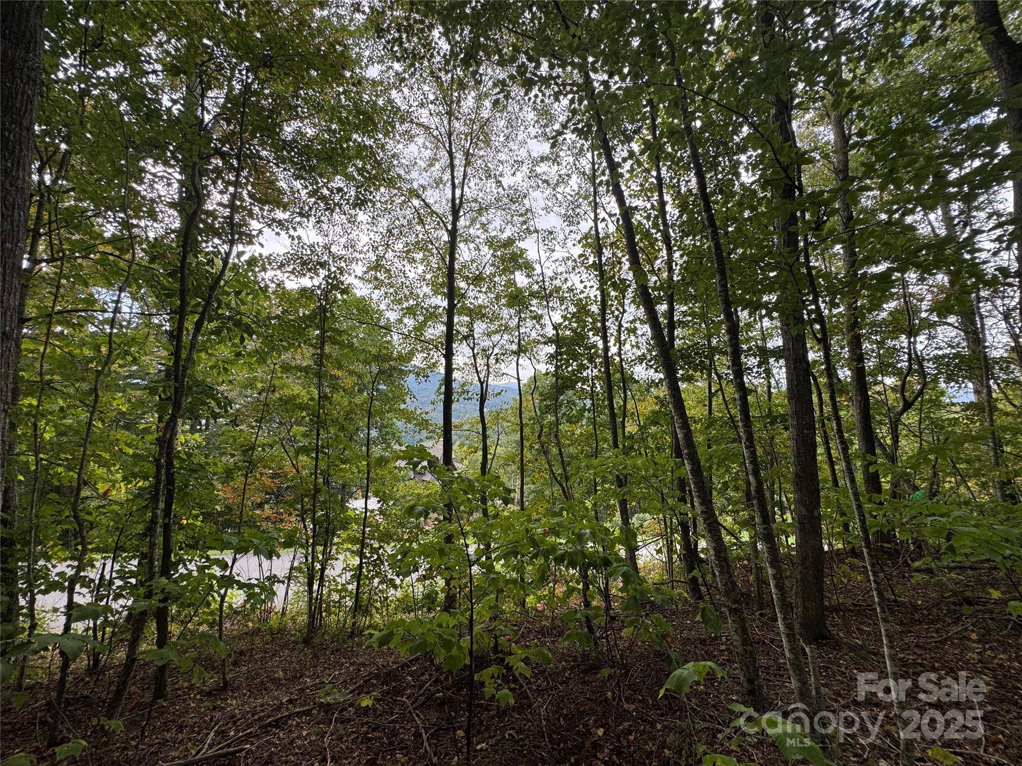TBD Bear Paw RD #15, Elk Park, NC 28622