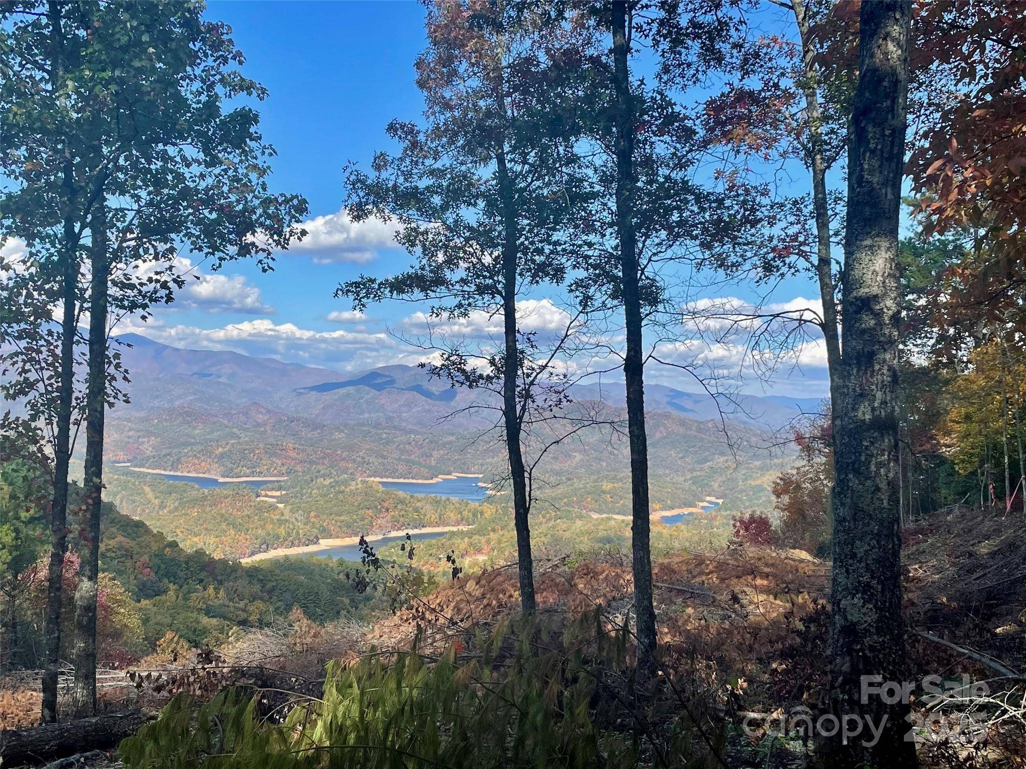 Lot 8 Rocky Ridge RD, Almond, NC 28702