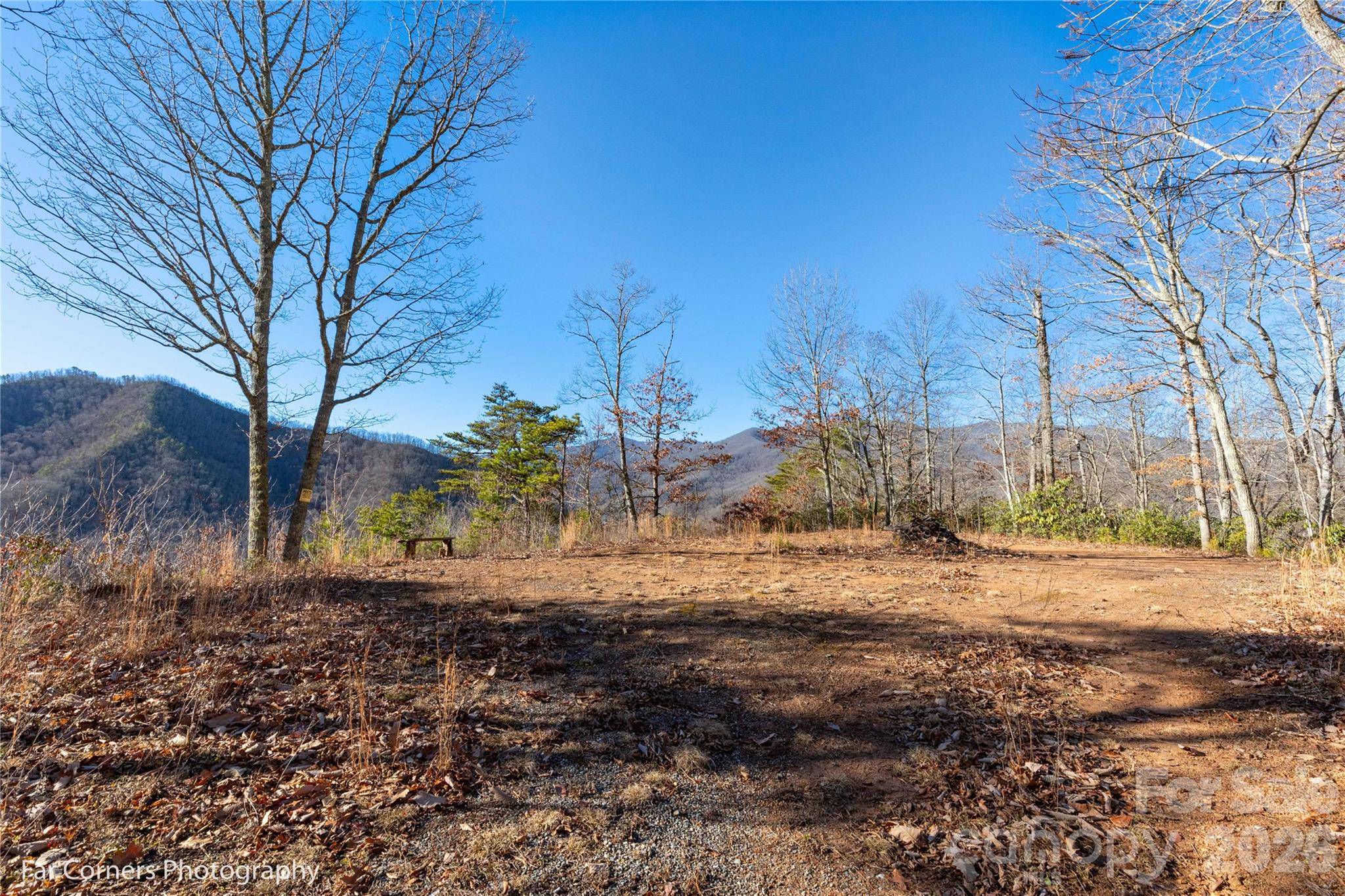 99999 Sourwood RD, Canton, NC 28716