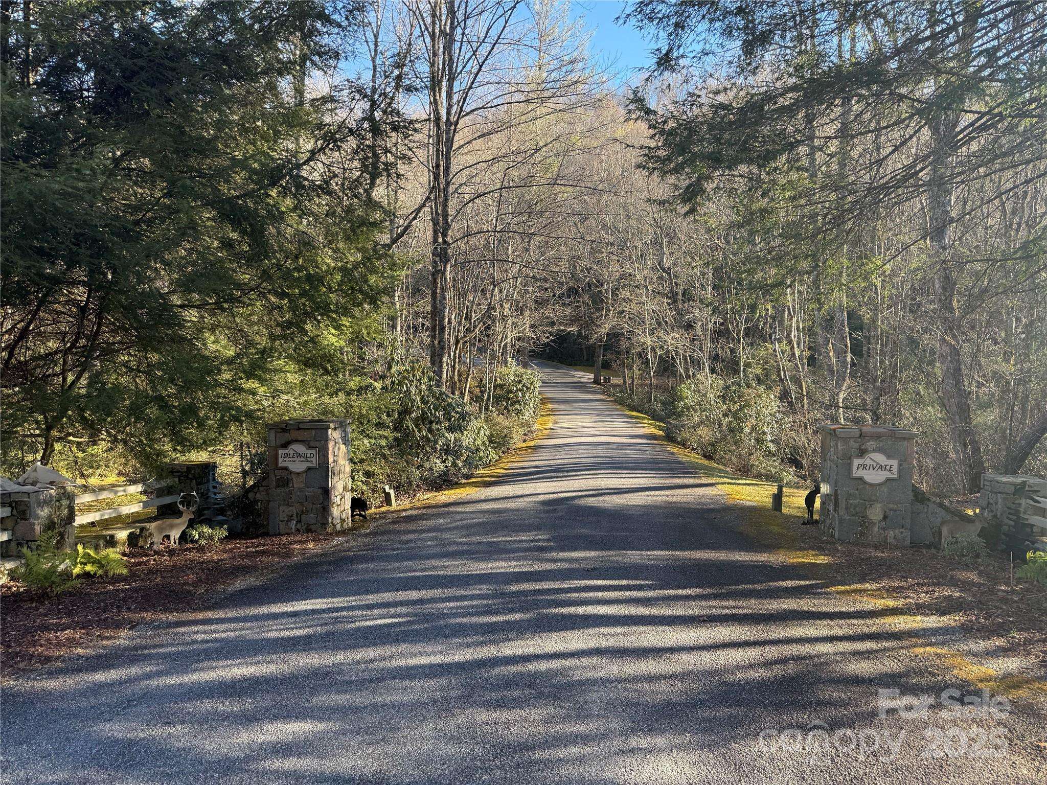 V/L Spanish Oak DR #9, Cedar Mountain, NC 28718