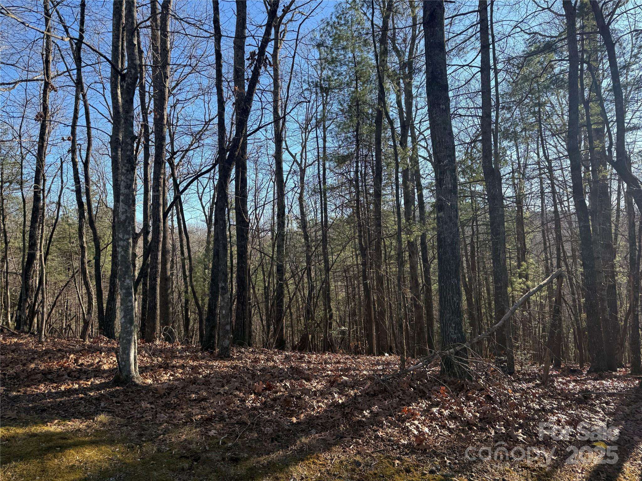 V/L Spanish Oak DR #9, Cedar Mountain, NC 28718