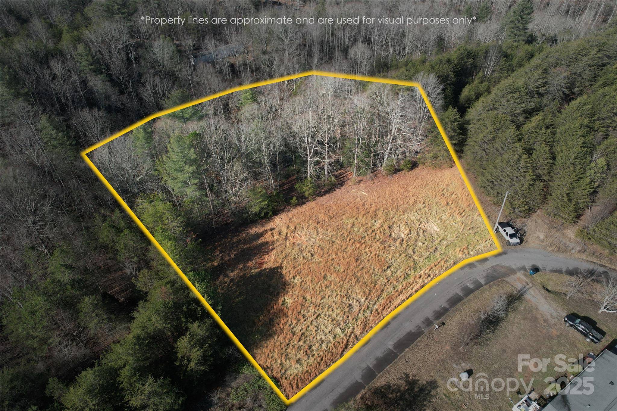00 Virginia RDG #57, Connelly Springs, NC 28612