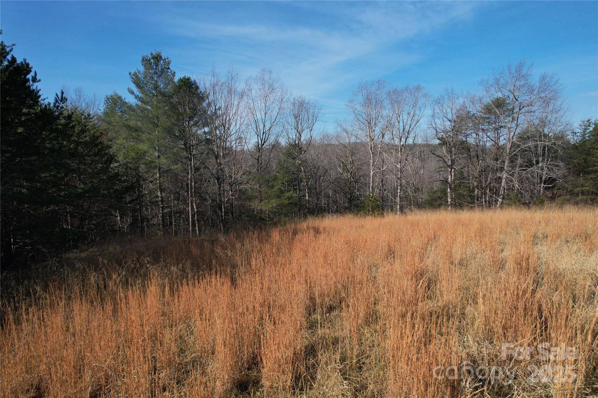 00 Virginia RDG #57, Connelly Springs, NC 28612