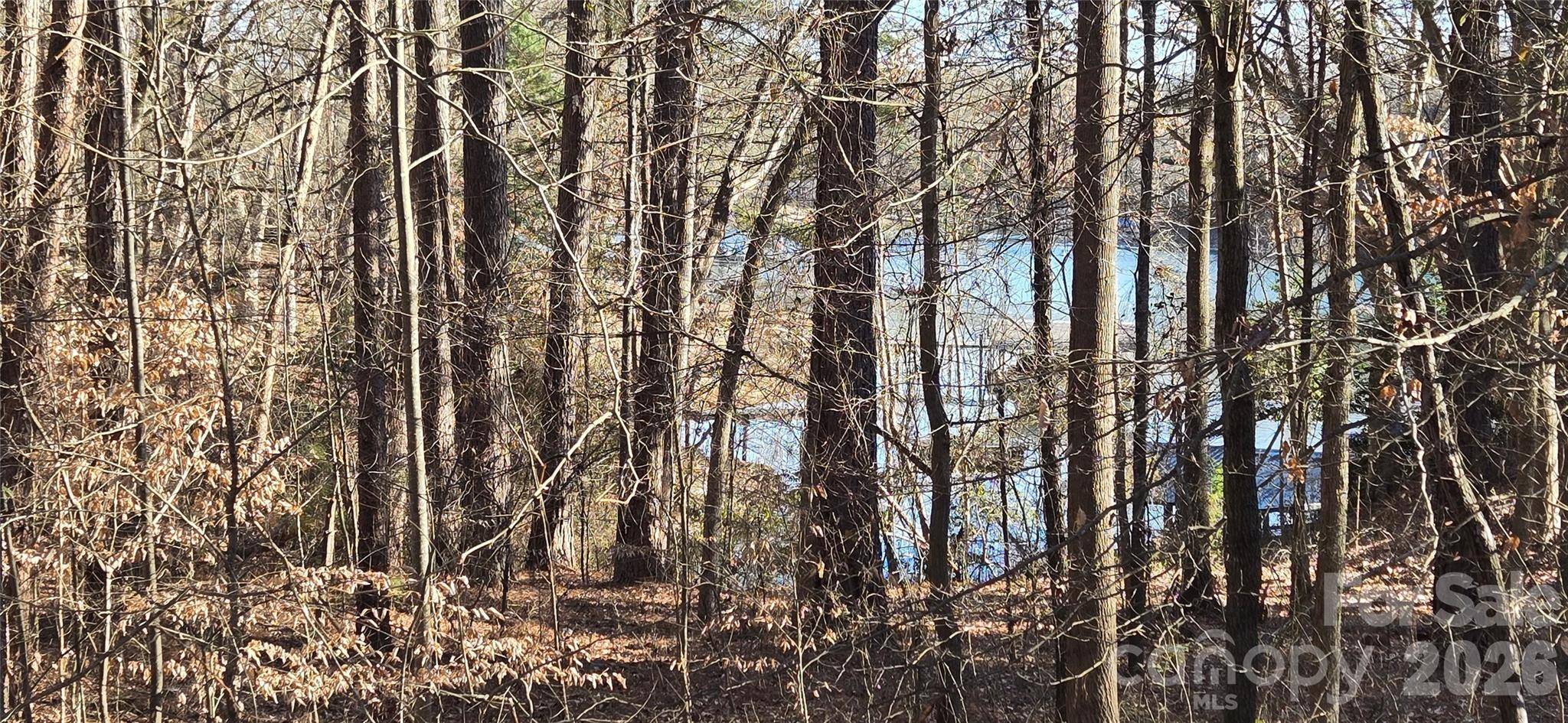 1222 Cartwright DR, Catawba, NC 28609