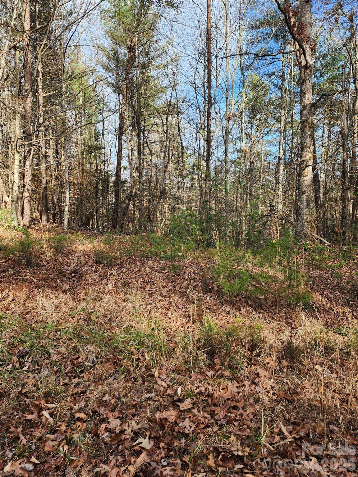 0 Rainbow Trout DR #14, Hays, NC 28635