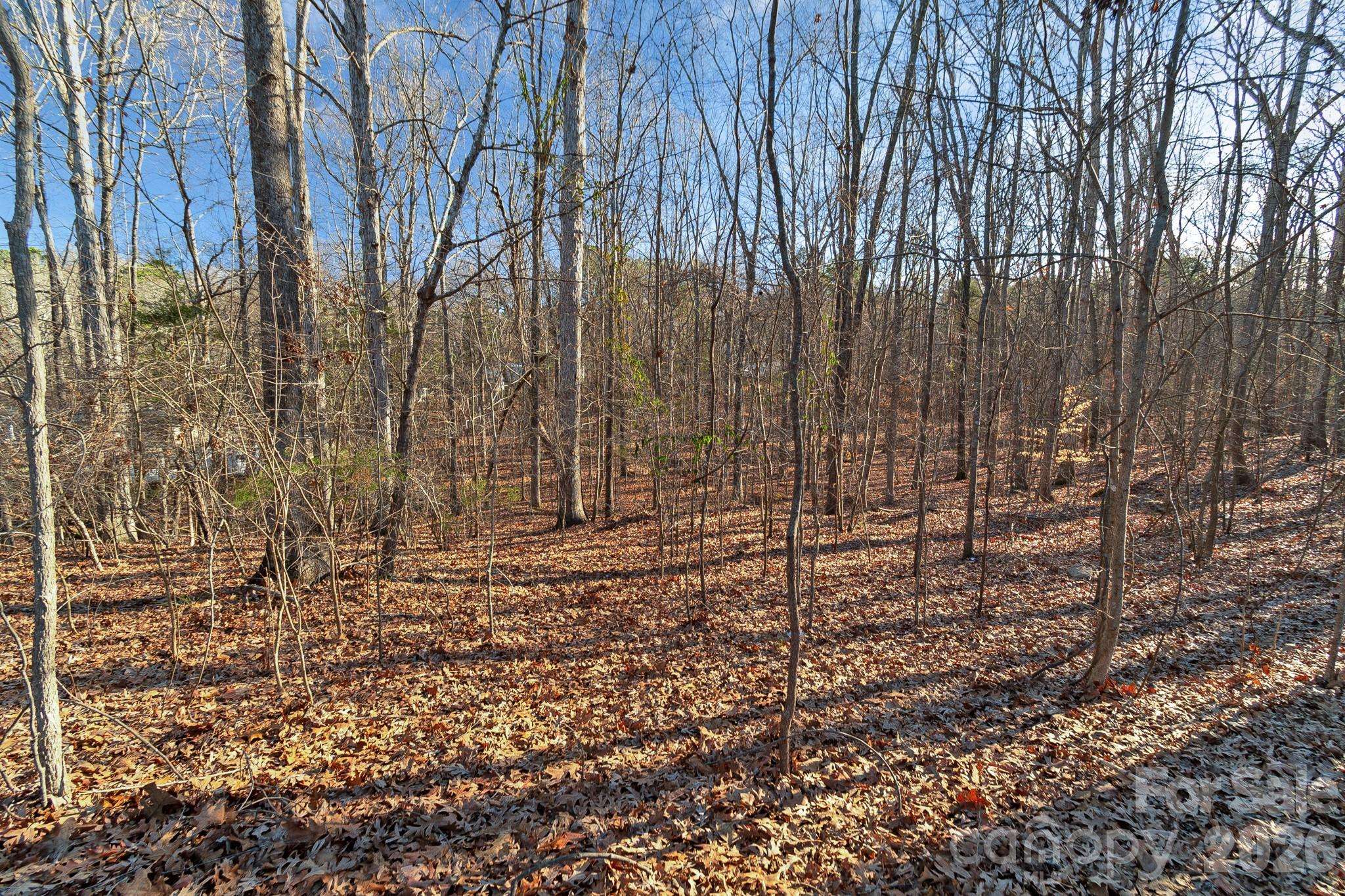 00 Glenola DR, Waxhaw, NC 28173