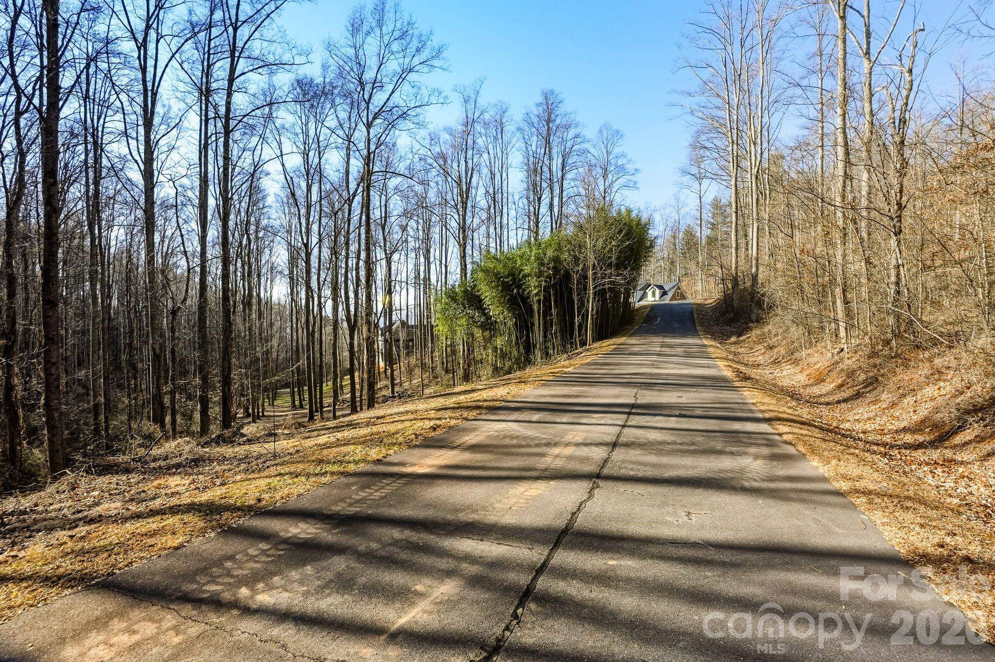 67 Bamboo TRL #18, Candler, NC 28715